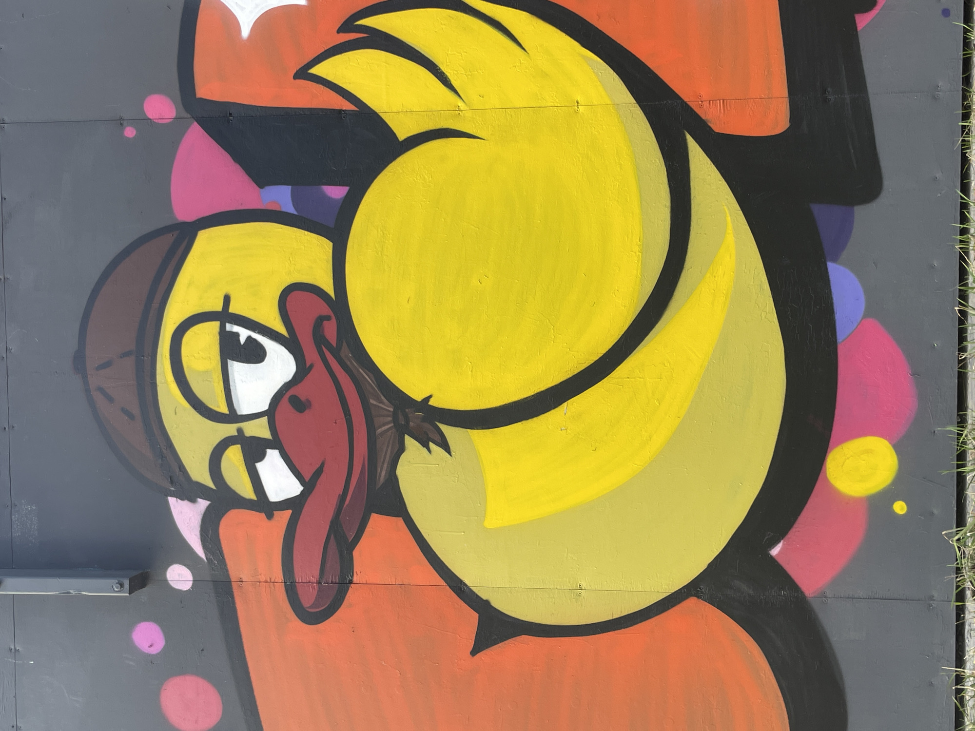 The media file displays a vibrant piece of street art or graffiti featuring a large, stylized cartoon character on a dark gray, paneled wall or fence. The image is rotated 90 degrees counter-clockwise, showing the character lying on its back. The central figure is a yellow, duck-like creature with prominent black outlines. It wears a brown cap on its head. Its facial features include large white eyes with black pupils and a wide, open red mouth from which a long, reddish-pink tongue extends. A small, dark brown tuft is visible behind its head. The character's body is primarily yellow, with a darker yellow or greenish-yellow gradient effect in some areas, particularly on its large, wing-like or arm-like appendage.
The background behind the character is composed of abstract, overlapping shapes in various bright colors, including orange, black, pink, and purple, along with smaller yellow and white elements that appear to be part of the graffiti composition. The dark gray surface on which the artwork is painted shows horizontal seams and visible screw heads, suggesting a metal or possibly wooden panel structure. A thin strip of green grass is visible along the right edge of the frame, indicating an outdoor setting. The character's expression, with its tongue out, conveys a playful, goofy, or whimsical mood. No discernible text is visible within the artwork. This artwork is located in Izhevsk, Russia.