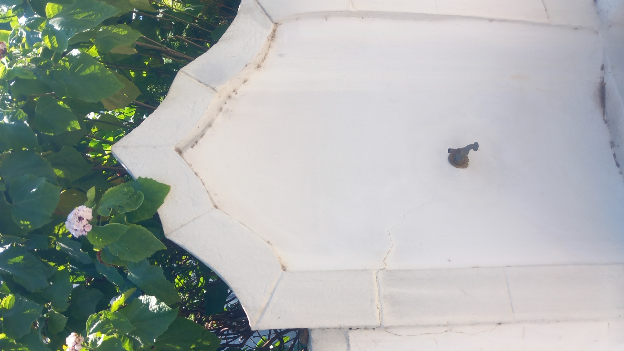 The image shows a white stucco wall with a decorative, pointed top. A single, dark-colored faucet protrudes from the center of the wall. Above the wall, a dense green bush with large leaves and a cluster of small, light pink flowers is visible. The scene appears to be outdoors, under sunlight, with shadows cast by the foliage. The wall shows some minor signs of wear and tear, including small cracks and staining near the top edge. The overall impression is of an outdoor fixture, possibly part of a fountain or water source, in a garden or courtyard setting. The location is identified as the city of Kos, Greece.