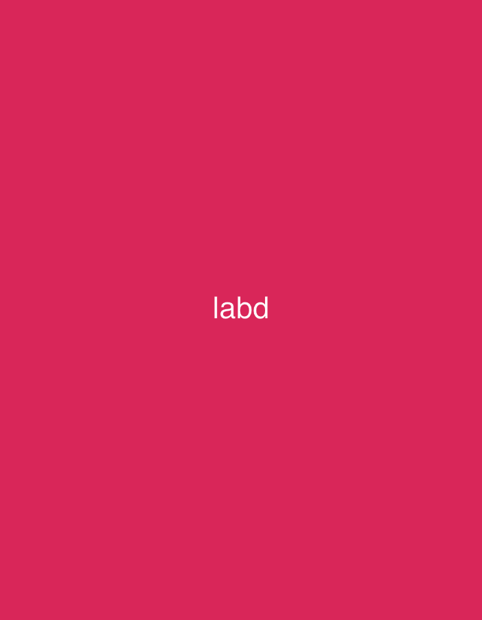 The image displays a solid, vibrant magenta-pink background. Centered horizontally and slightly above the vertical middle, the word "labd" is written in white, sans-serif font. There are no other subjects, objects, or activities depicted in the scene. No specific time of day, weather, or discernible location cues are visible.