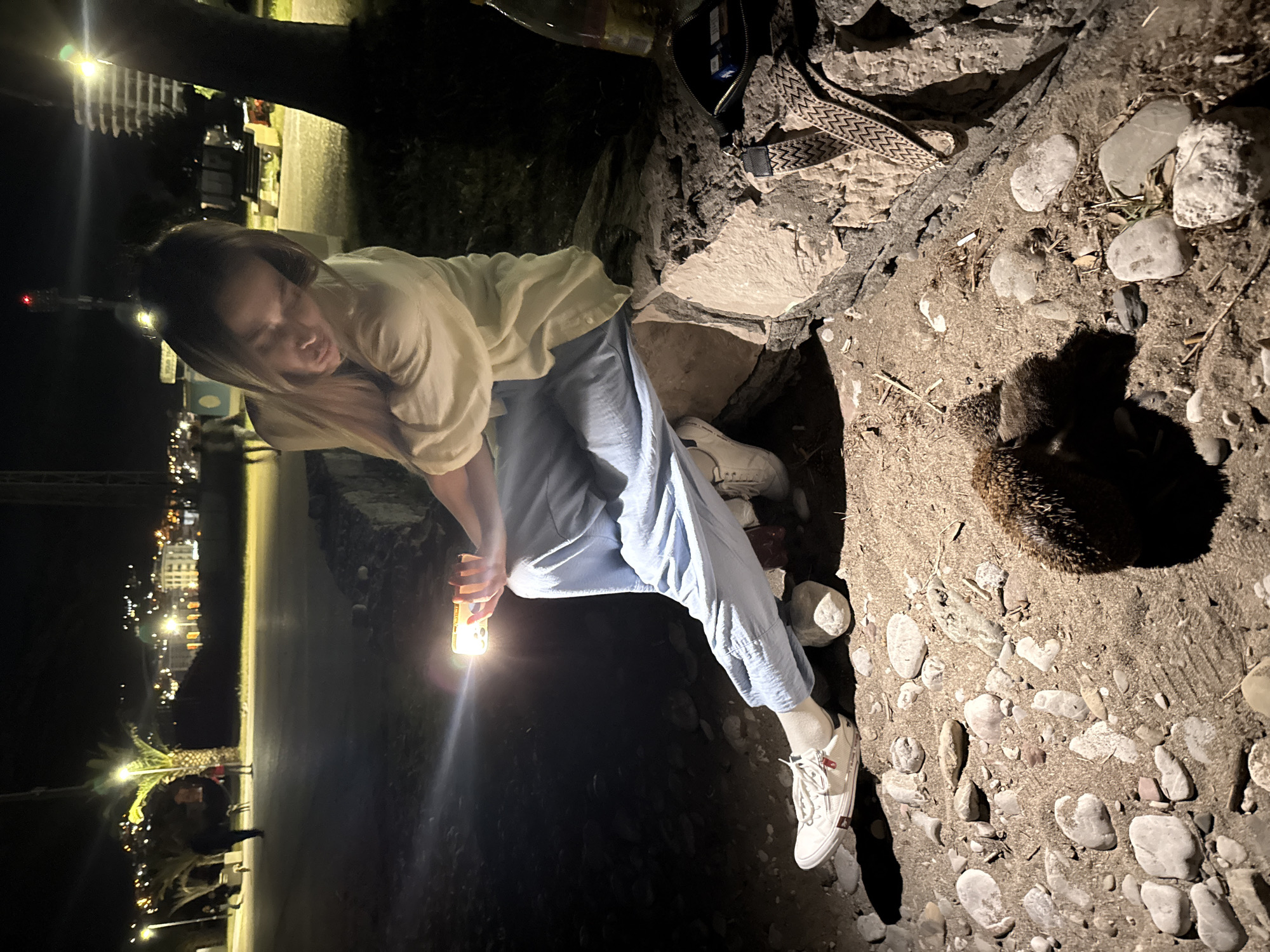 A young woman illuminates a hedgehog on a stony ground with her phone. The city of Bar, Montenegro, is visible in the background at night. The woman is dressed in light-colored clothing and white sneakers, while the hedgehog is dark brown with visible spines. The ground is covered with small pebbles and debris. The lighting is dim, with a bright beam from the phone illuminating the scene's foreground.