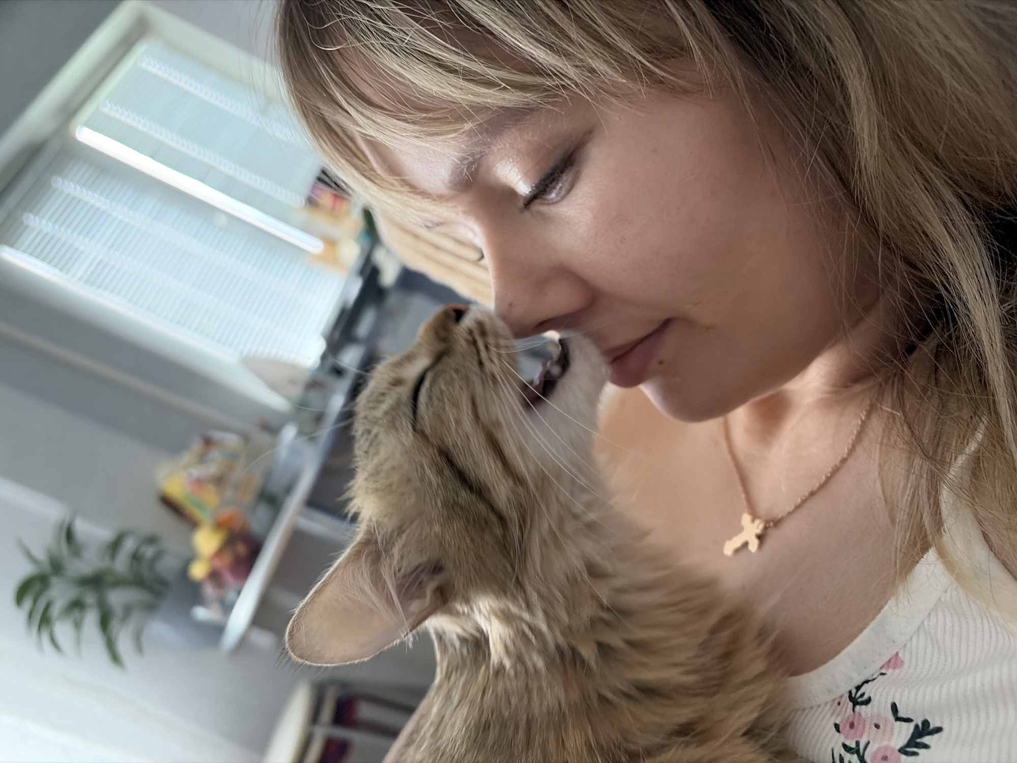 A fair-skinned woman with blonde hair is holding a light brown tabby cat with its mouth open. The cat's nose is touching the woman's nose. The woman is wearing a white shirt with small floral patterns and a gold necklace with a cross pendant. In the background, there is a window with blinds and a shelf with various items. The location is Chaikovsky, Russia.
