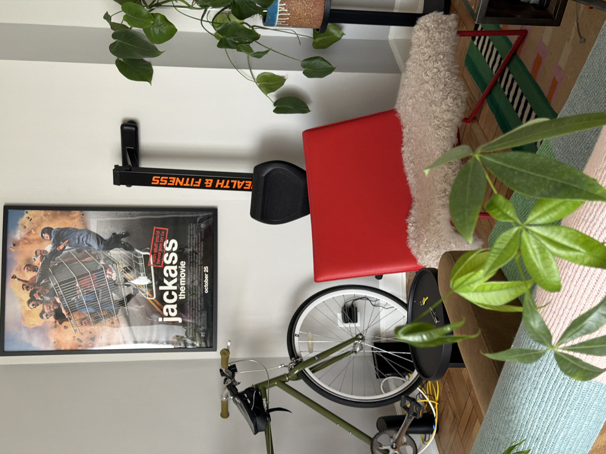 The image depicts a room interior, showcasing various items. A framed poster of the movie "Jackass: The Movie" is mounted on a white wall. To the right, a black rowing machine with a red seat and the words "EALTH & FITNESS" in orange, is positioned on the floor. A green bicycle with a white tire leaning against the wall. A plant with lush green leaves partially obscures the right side of the image. A white rug, and a colorful rug with a red frame are partially visible in the background. The location is an interior space, likely in the city of Los Angeles, United States of America.