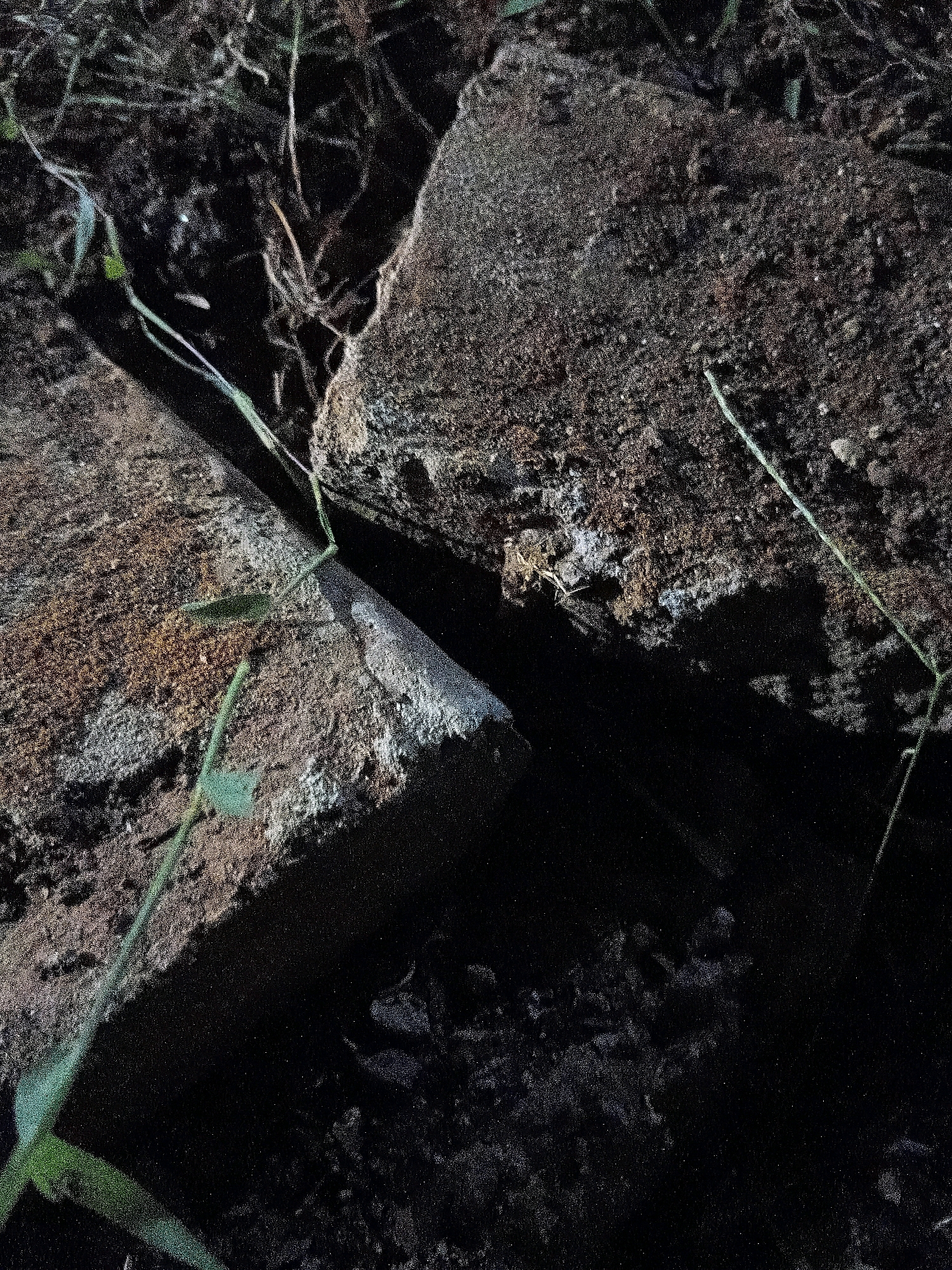 The image shows a close-up view of two large, rough-textured, dark gray stones with a narrow, dark gap between them. The stones appear to be man-made, possibly concrete or brick, with some moss or lichen growth. Several blades of green grass and some dry, thin stalks of vegetation are visible, with some strands of grass extending across the stones and into the gap. The lighting suggests it may be nighttime or a very shaded area, with a strong contrast between the illuminated surfaces of the stones and the deep shadows in the gap and surrounding ground. There are no people or explicit indications of activity. The scene is outdoors, with a natural ground surface composed of dark soil, small pebbles, and debris. The specific location in Cikal, Indonesia, is not visually identifiable from the image itself; it depicts a generic outdoor scene with stones and vegetation.