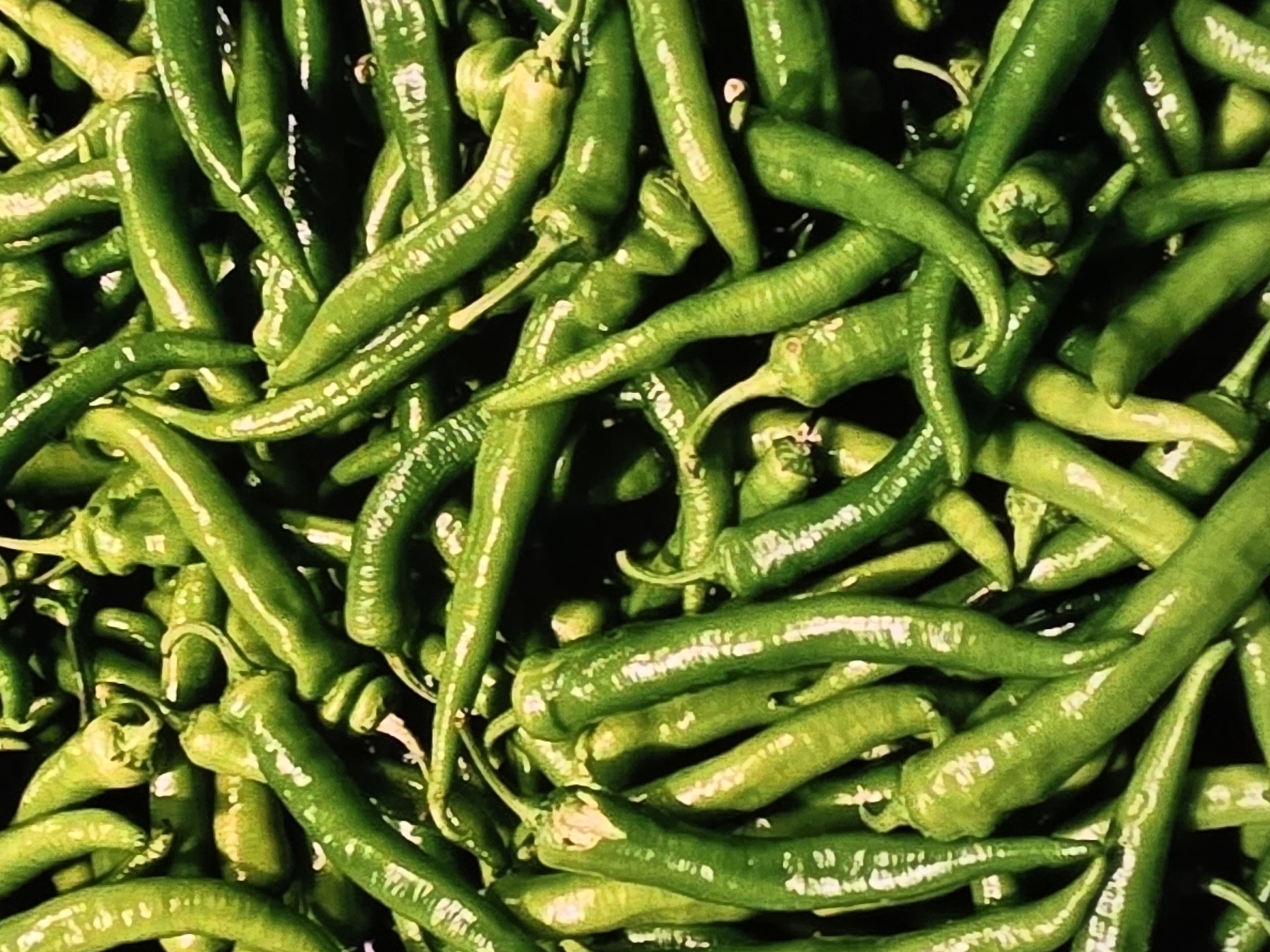 The image displays a close-up, overhead view of a large pile of fresh, green chili peppers. The peppers are elongated and slender, with some appearing slightly curved. Their surfaces are glossy and reflect light, indicating they are likely ripe and recently harvested. The peppers are tightly packed together, creating a textured and vibrant green mass. No people, actions, or interactions are visible. The environment is not discernible beyond the subject matter itself. The image does not provide any information or context related to the city of Voluntari, Romania.