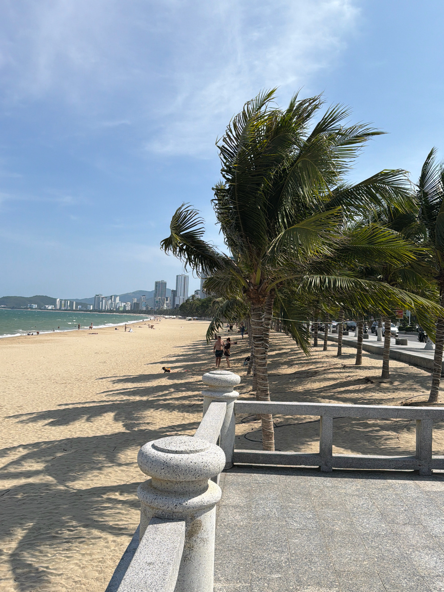 This is a wide-angle, eye-level, outdoor shot of a beach in Nha Trang, Vietnam. In the foreground, there is a stone railing and a paved walkway. Beyond the railing is a sandy beach with numerous palm trees casting shadows. Several people are scattered across the beach, some walking and others sitting or lying down. The ocean is visible on the left side of the image, with small waves and a few people swimming. In the distance, a cityscape with tall buildings and mountains can be seen under a clear blue sky with some wispy clouds. The scene appears to be a sunny day, likely during daylight hours, with a few people and a dog visible on the beach.