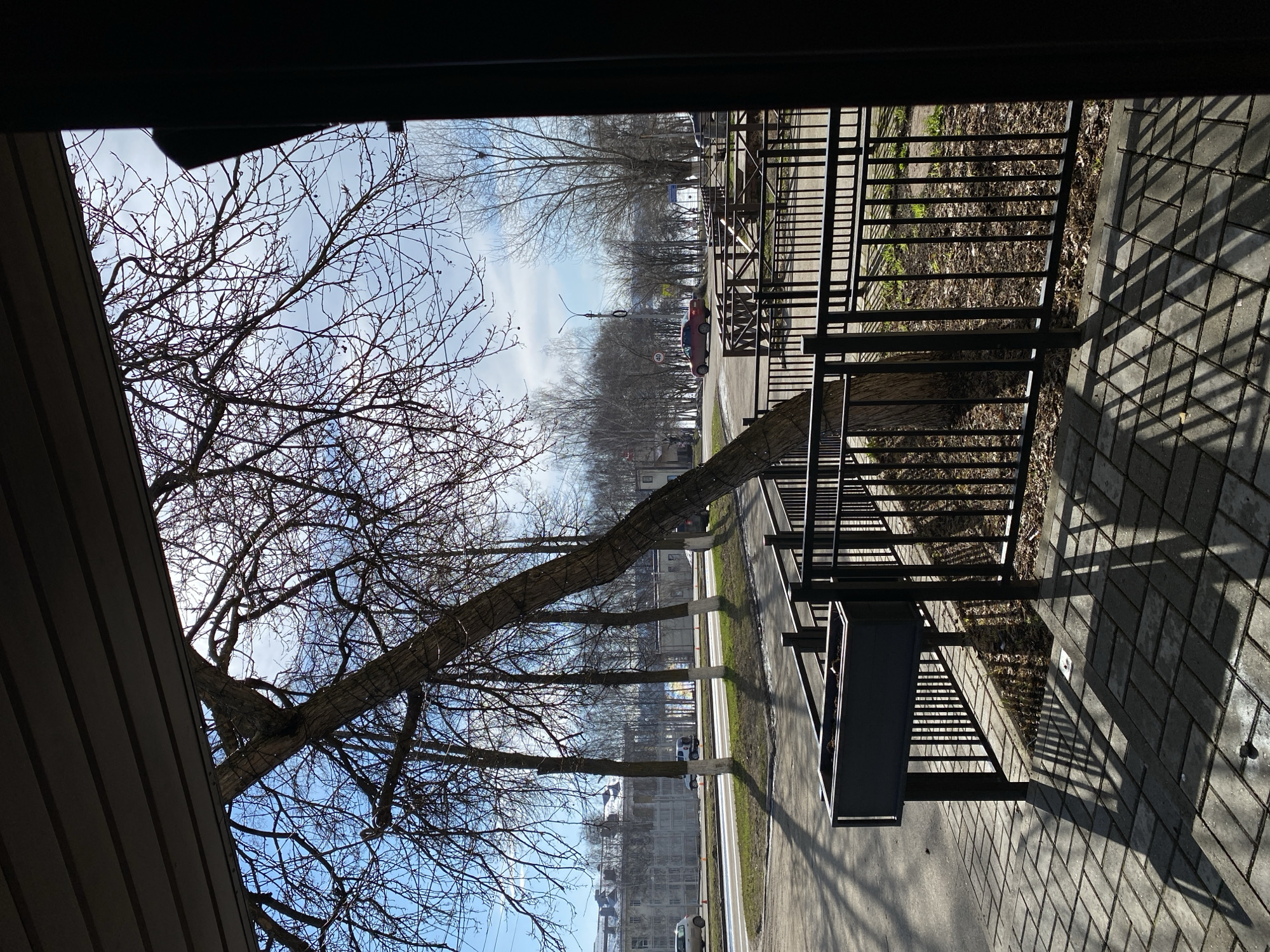 View from a building in Votkinsk, Russia. The scene captures a street lined with bare trees under a partly cloudy sky. A wrought-iron fence and a garbage can stand on a tiled patio in the foreground. Beyond the fence is a street with passing cars. Buildings are visible in the distance.