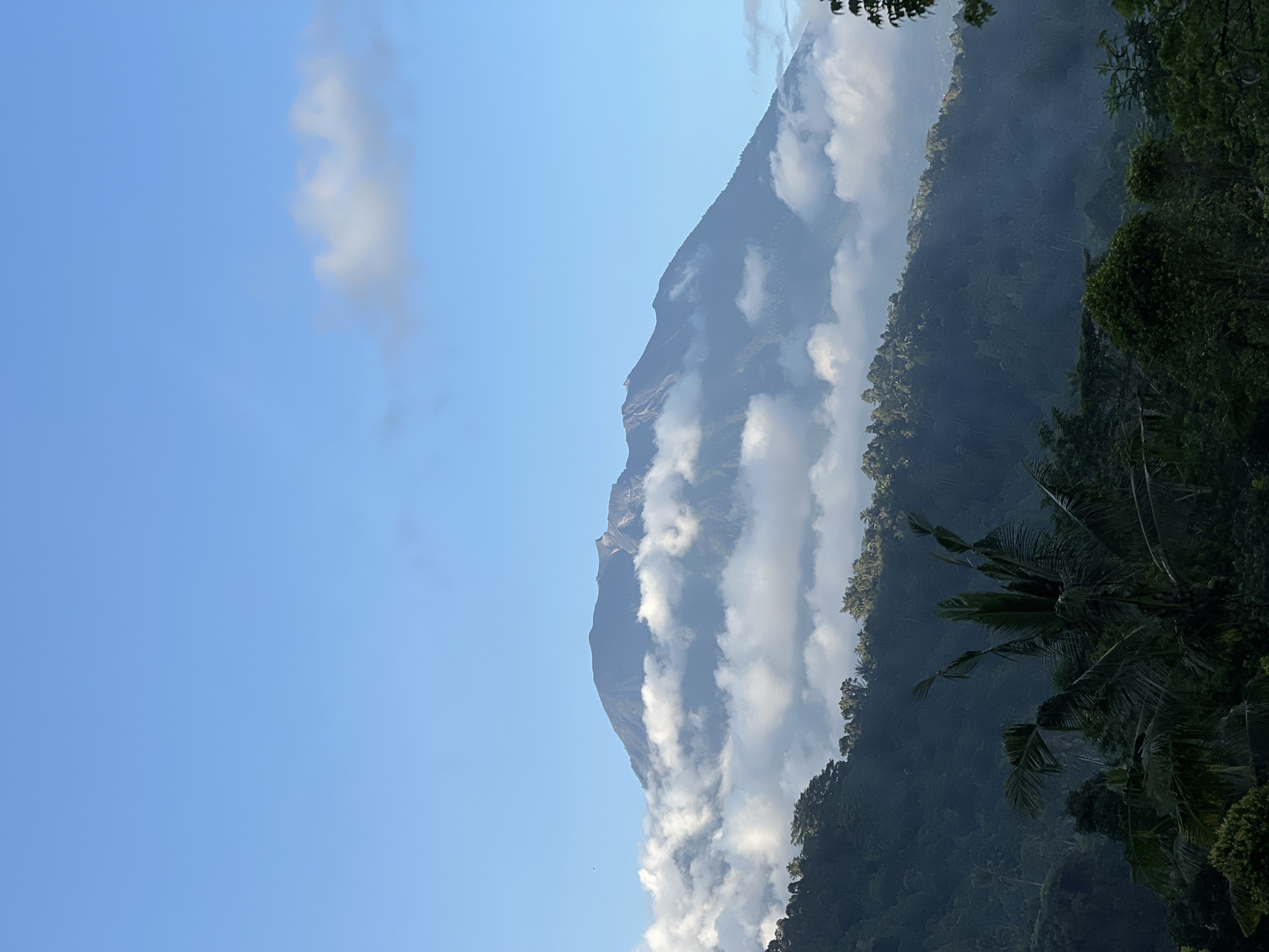 The image depicts a view of Mount Agung, partially obscured by clouds, in the vicinity of Sidemen, Indonesia. The sky is a clear blue with a few scattered clouds on the left. The mountain's slopes are covered in lush, dense vegetation, with glimpses of rainforest, particularly in the foreground. Some palm leaves can be seen in the bottom right. The image is captured at an angle; therefore, the mountain appears elongated vertically. The overall setting suggests a tropical environment with clear weather conditions.