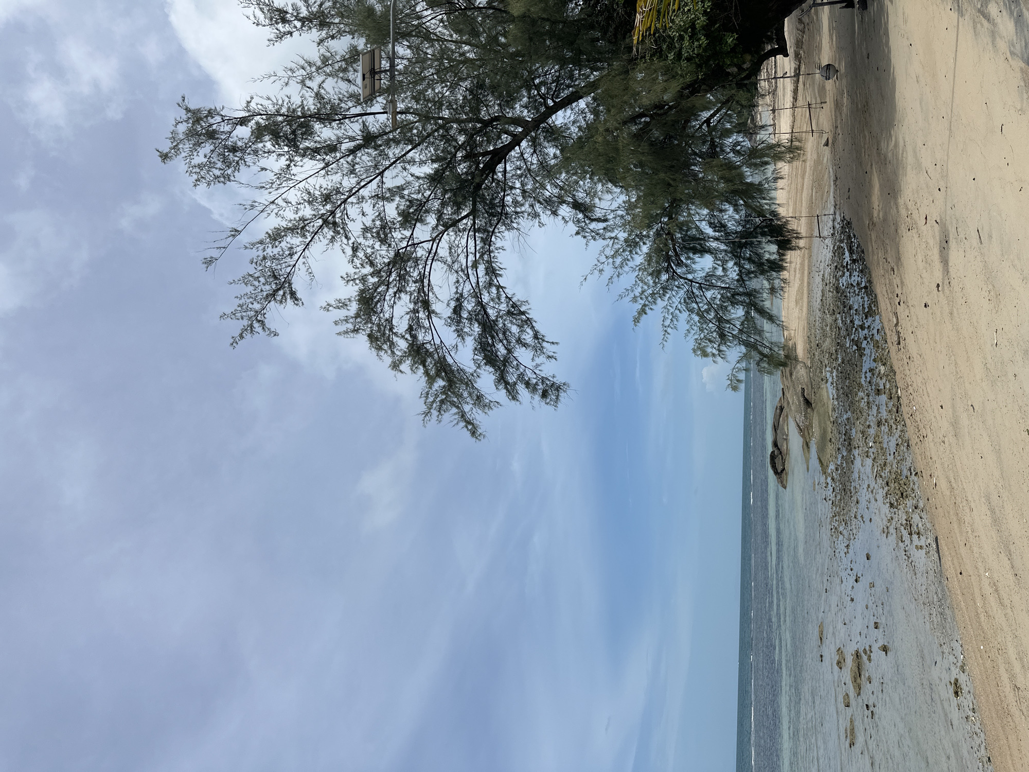 The image depicts a tranquil beach scene in Ko Pha-ngan District, Thailand, under a cloudy sky. The foreground is dominated by a sandy beach, with scattered rocks and debris. The gentle tide laps at the shore, revealing shallow, clear water that extends to a darker, deeper expanse of the sea. Several large, weathered rocks are visible in the water near the shore.
To the right, a prominent tree with slender, needle-like foliage arches over the beach. Its branches cast shadows on the sand. Hanging from some of these branches are rope swings, suggesting a recreational area. A solar-powered light fixture is mounted on a pole partially obscured by the tree's canopy. The background shows the horizon line where the sea meets the sky, with a muted, overcast atmosphere. No people are visible in the frame.
