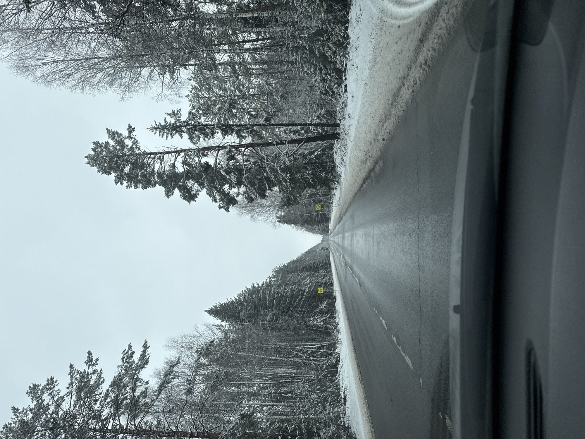 The image depicts a road cutting through a snow-covered forest. The road surface is wet and reflects the overcast sky. Snow lines the road's edges. Bare trees and evergreens stand on either side of the road, their branches coated with snow. A small, yellow sign is visible along the roadside within the forest on either side of the road. The photograph seems to be taken from within a moving vehicle, as part of the vehicle is visible on the right side of the frame. The location is identified as Chumna, Russia.