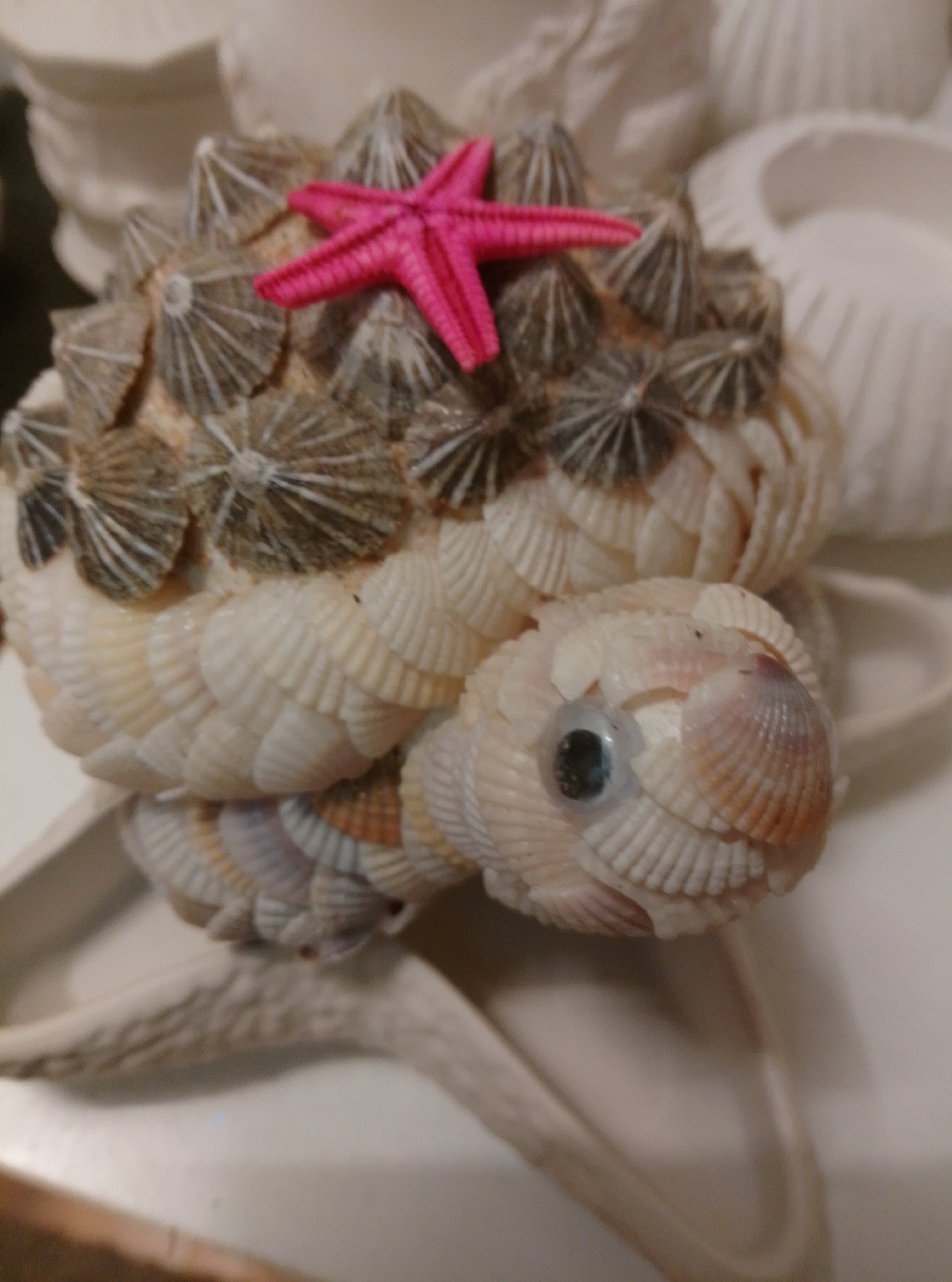 A close-up, high-angle shot shows a decorative turtle figurine made of seashells. The turtle's shell is covered in small, pointed shells, with a bright pink, plastic starfish perched on top. The turtle's head is also made of shells, with a dark, round eye. The figurine is resting on a white surface, possibly a table or shelf, and the background is out of focus. This object is located in Wedel, Germany.