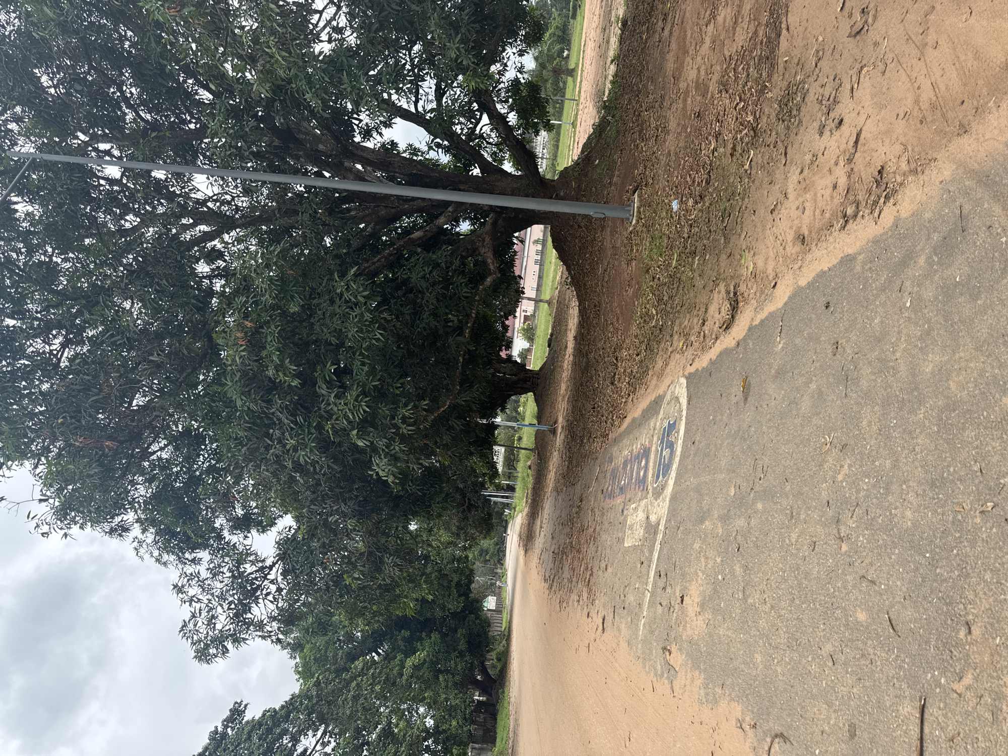 The image shows a street in Ihiagwa, Nigeria. The street is paved and bordered by dirt on one side and large, leafy trees on the other. A metal light pole is visible amongst the trees. There is text painted on the pavement. In the distance, a building can be seen through the trees. The sky is overcast.