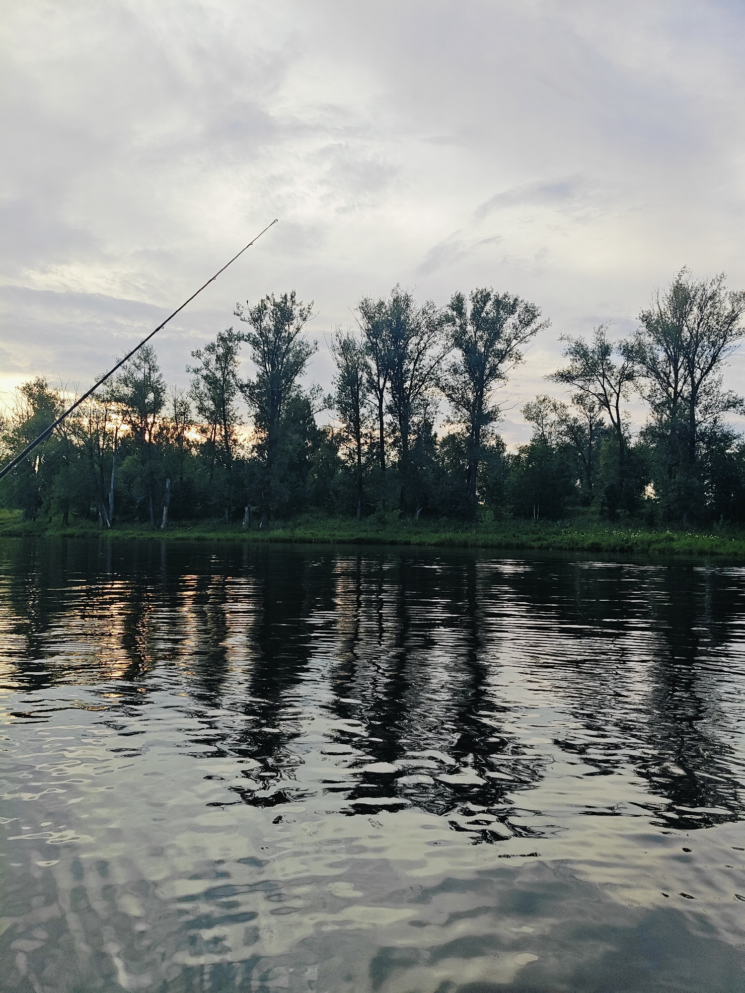 This image depicts a tranquil scene at sunset along the riverbank in Ol'khovskoye, Russia. A fishing rod extends diagonally from the lower left corner into the upper left quadrant of the frame, its tip positioned against a cloudy sky. The middle ground is dominated by a dense line of trees along the river's edge, with several taller trees silhouetted against the fading light. The river itself occupies the lower half of the image, its surface rippled by gentle waves that reflect the sky and the trees, creating abstract patterns of light and shadow. The overall impression is one of quiet natural beauty at dusk.
