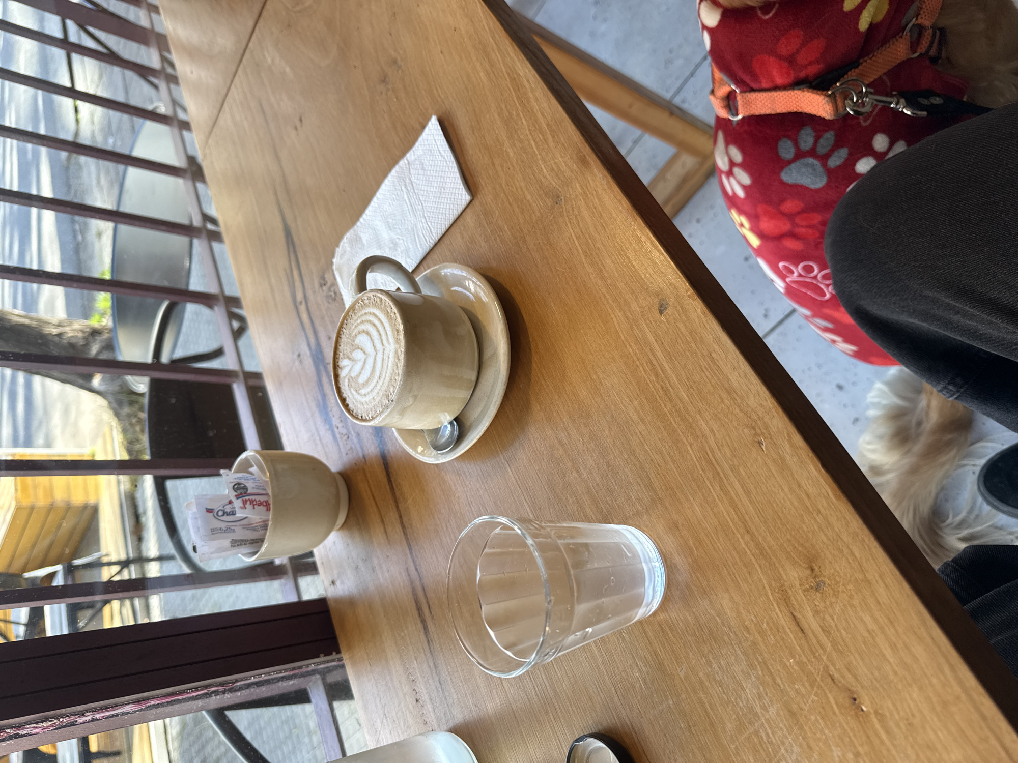 The image shows a close-up view of a wooden table at an outdoor cafe in Avellaneda, Argentina. The table is set with a latte in a ceramic mug with latte art, a small white saucer, a napkin, a small dish containing sugar packets, and a glass of water. In the background, a dog wearing a red patterned sweater with paw prints is visible, along with a person's legs in dark jeans. The setting appears to be during the day, with natural light filtering in. The atmosphere seems relaxed and casual, suggesting a coffee break or a meal. The visible text on the sugar packets includes "Chai" and a brand name that is partially obscured but appears to be "Cedal". The overall scene evokes a sense of everyday life in a cafe environment.