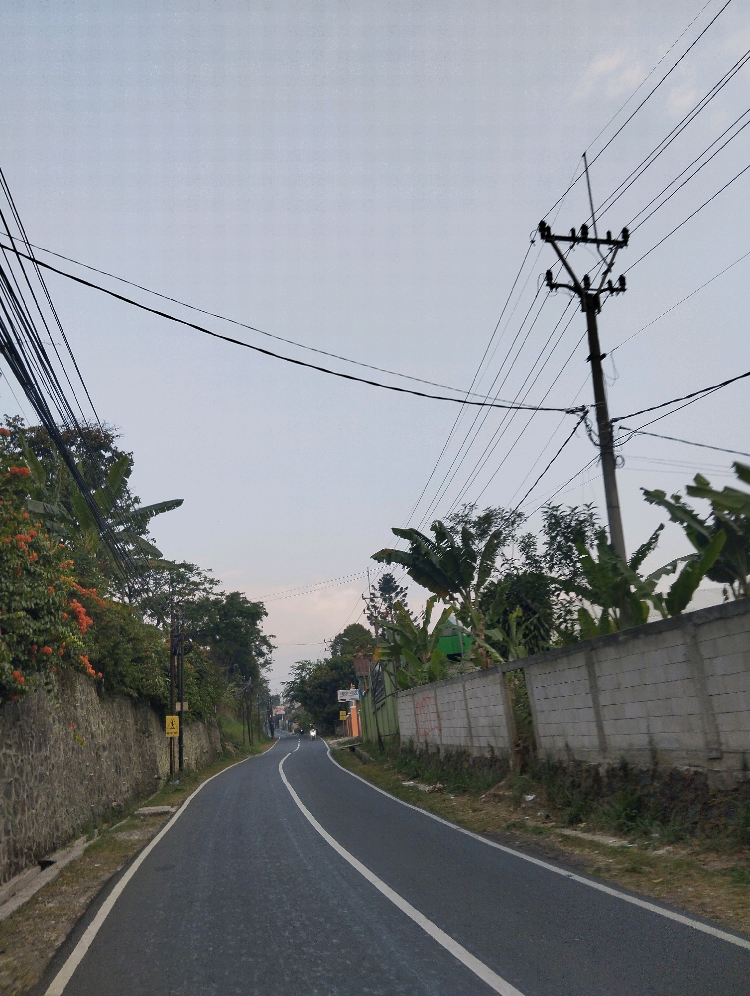 The image depicts a paved road winding through a semi-urban or rural area in Megamendung, Indonesia. The road has a gray asphalt surface with white lane markings. On the left side of the road, there is a stone retaining wall covered with lush green foliage and orange flowers. Further along the road on the left, a yellow pedestrian crossing sign is visible. On the right side of the road, a low concrete wall borders a property with banana trees and other vegetation. Overhead, numerous electrical wires crisscross the sky, supported by utility poles. The sky is overcast with a light gray hue. In the distance, there appear to be a few vehicles, possibly motorcycles, on the road. The overall impression is a view from a moving vehicle, capturing a typical roadside scene with infrastructure and natural elements.