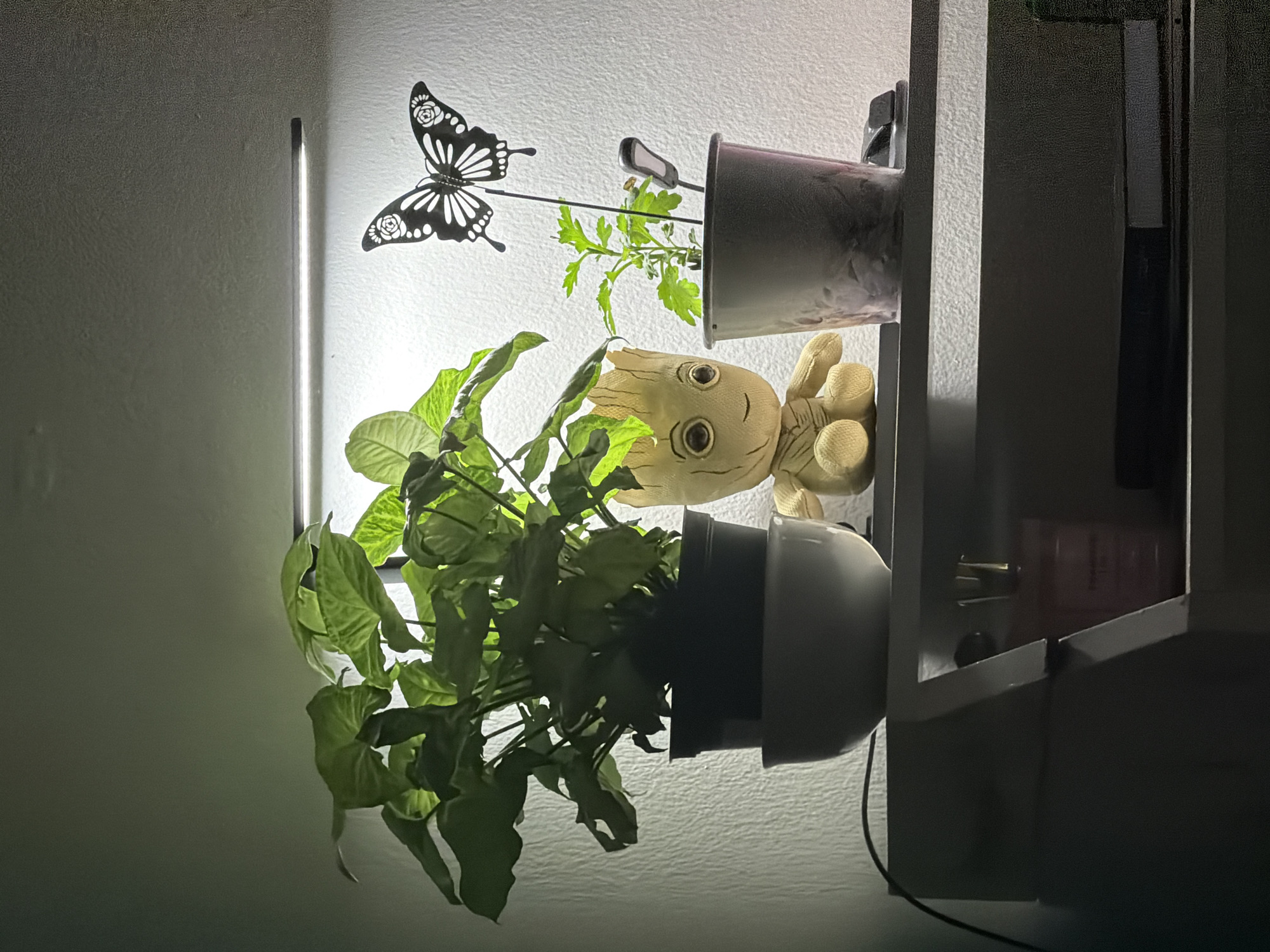 The image depicts a plant arrangement indoors, likely in a residential setting in Morton Grove, United States of America. The arrangement includes two potted plants, one containing a leafy green plant, and another containing a smaller green plant. A plush toy resembling Groot from "Guardians of the Galaxy" is nestled between the pots. A decorative metal butterfly is affixed to a stake near the plants. An LED grow light is positioned vertically near the plants. The pots are mounted on a shelving unit. A black power cord hangs from the shelf. The room is dimly lit.