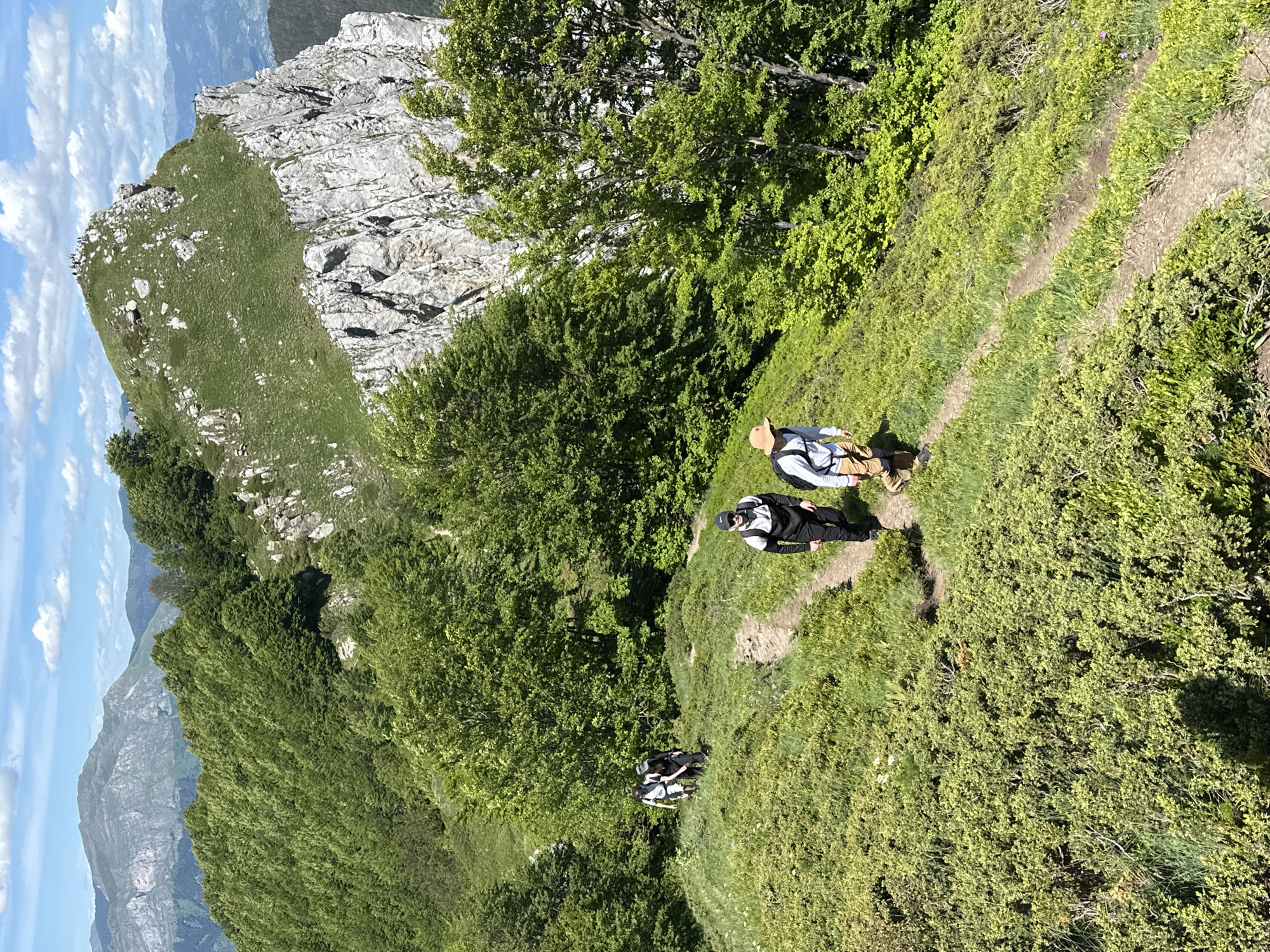 The image shows a group of hikers traversing a winding trail on a grassy mountainside. The terrain is characterized by lush green vegetation, interspersed with rocky outcrops and mature trees. In the background, a majestic mountain peak with a sheer cliff face dominates the landscape. The sky is a vibrant blue, dotted with fluffy white clouds, suggesting fair weather. The hikers, dressed in casual outdoor attire, are spread out along the trail, some walking ahead and others following. They appear to be enjoying a scenic hike in a natural environment. The location is identified as Dolja, Montenegro.