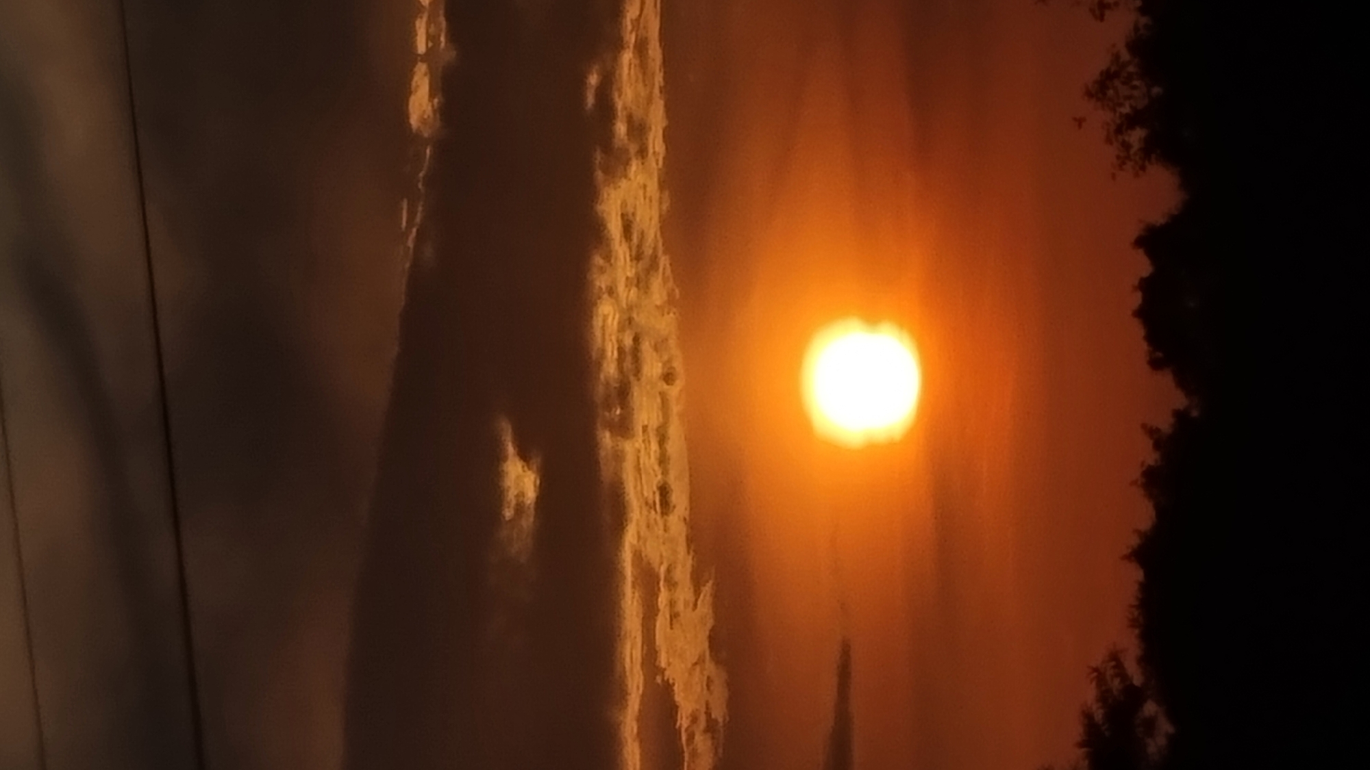 A sunset over the city of Vysokoe, Russia, is depicted. The sun, a bright, luminous orb, is centered in the frame, casting a warm, orange glow across the sky. Dark, silhouetted trees form a jagged line along the bottom edge of the image, contrasting with the vibrant sky. Overhead, thin, dark clouds stretch horizontally, adding a dramatic touch to the scene. A couple of faint wires are visible in the upper part of the sky, suggesting the presence of infrastructure. The overall impression is one of natural beauty and a serene end to the day.