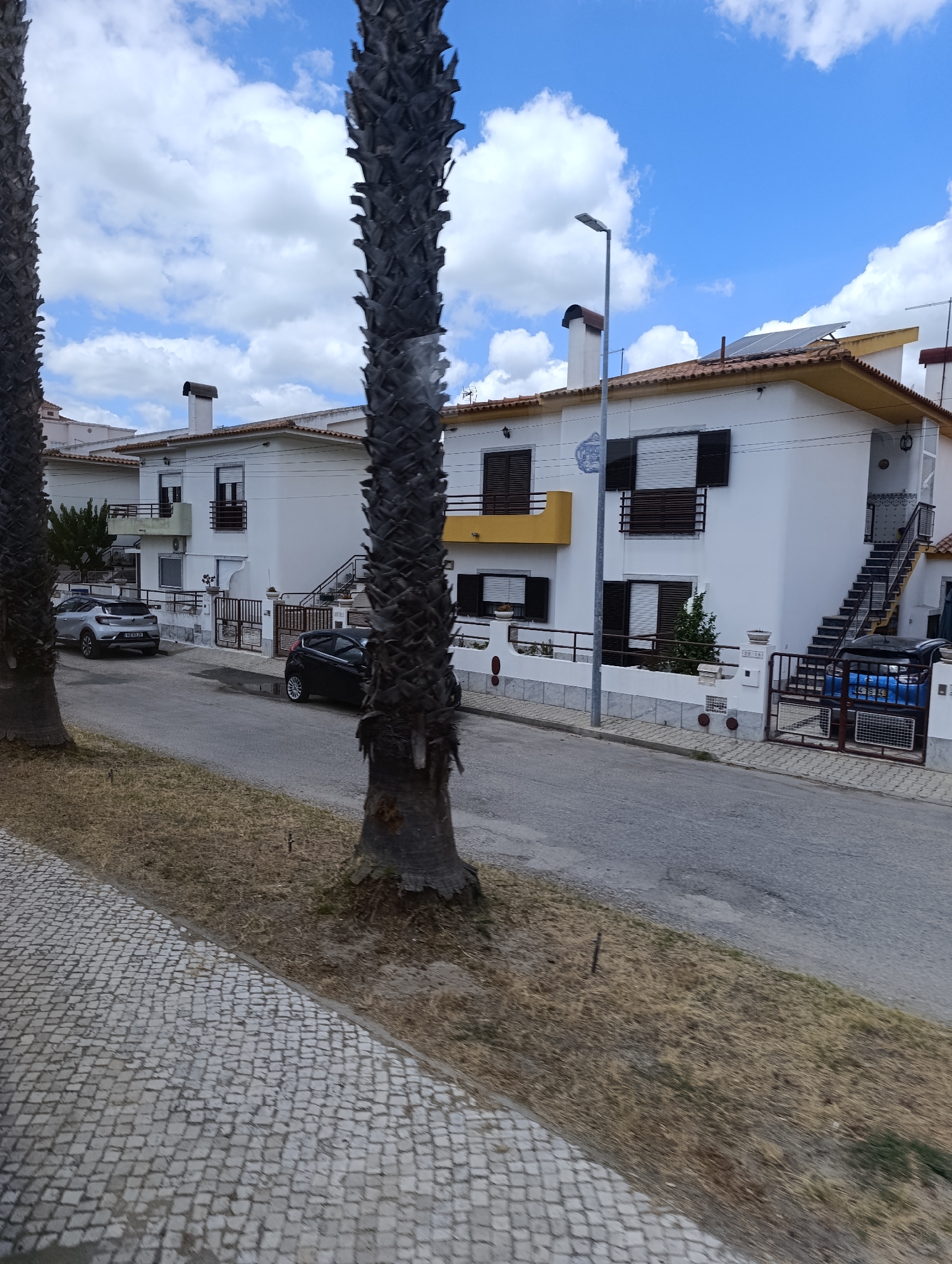 The image shows a street in Salvaterra de Magos, Portugal, with several residential buildings and two palm trees in the foreground. The buildings are white with terracotta tile roofs and have balconies and external staircases. There are two cars parked on the street, a silver SUV and a black hatchback. The street is paved with asphalt, and there is a cobblestone sidewalk on the left side of the image. The sky is blue with some white clouds. The overall scene depicts a quiet residential area on a sunny day.