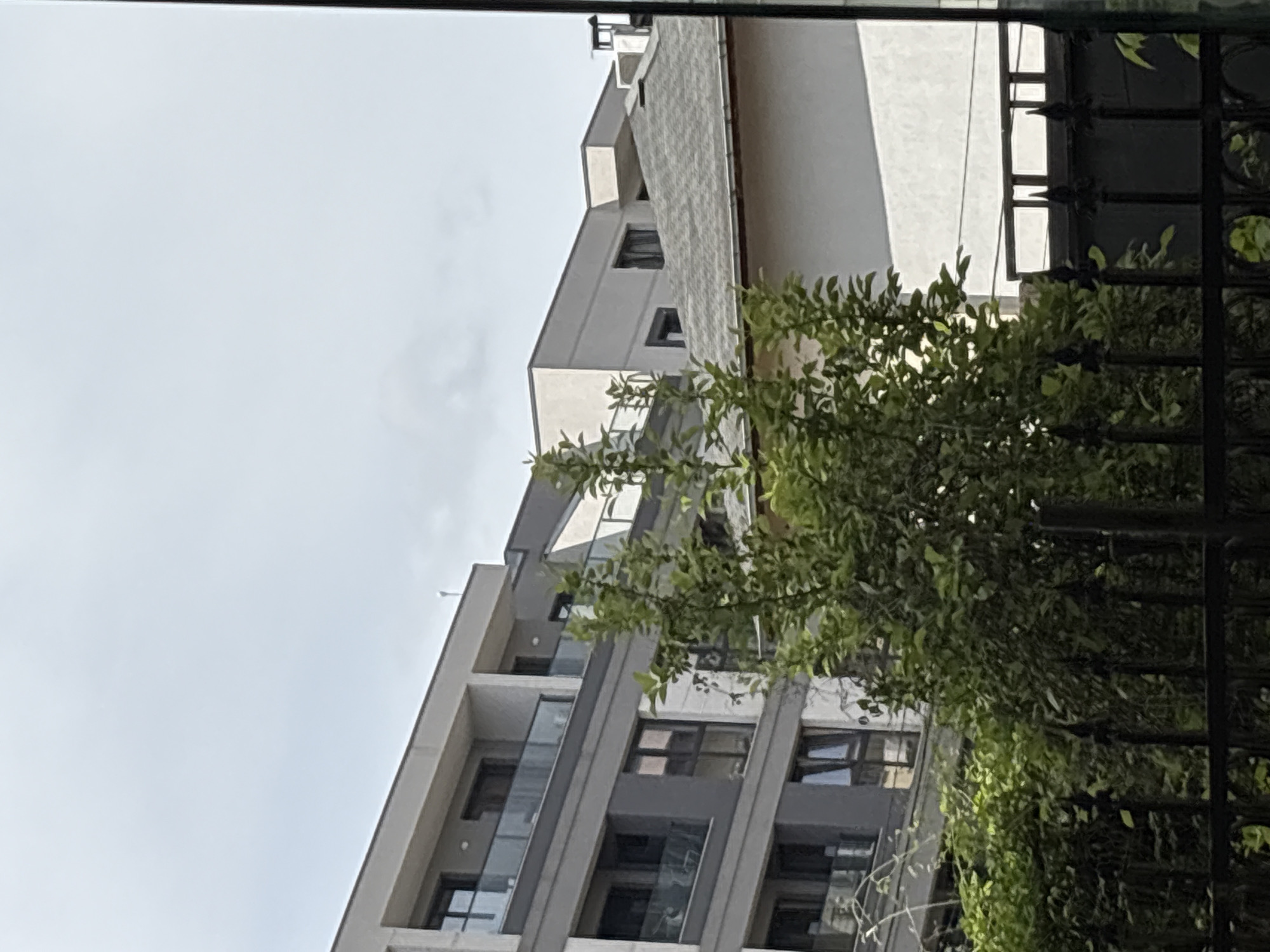 A low-angle shot captures a multi-story building in Sofia, Bulgaria. The building features a modern design with white and grey concrete exteriors, glass windows, and balconies. A tree with green leaves obscures the view of the building in some areas. A black metal fence is also visible in the foreground. The sky is overcast.