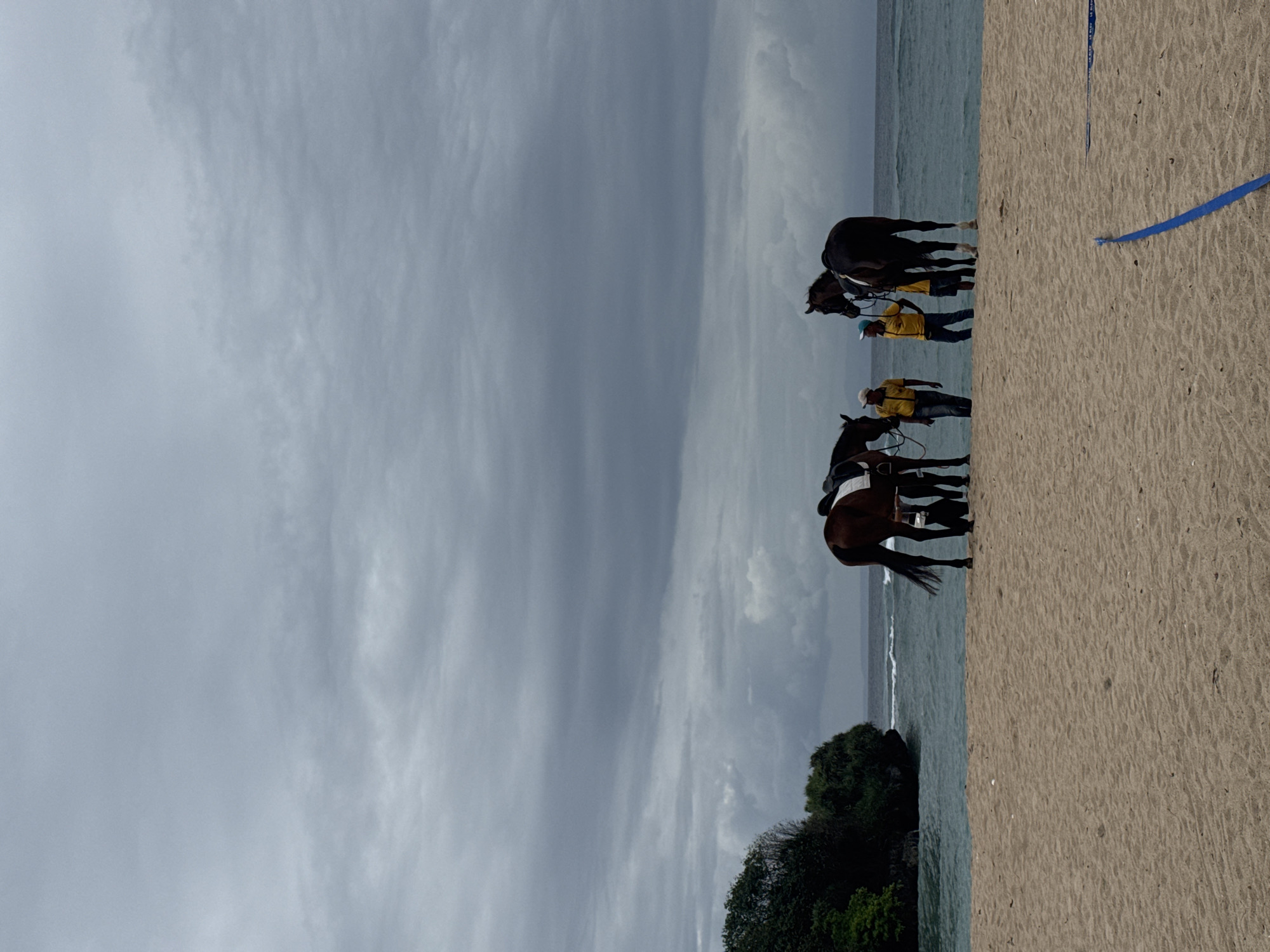 The image depicts a beach scene with two horses and three people. The sky is overcast and a dark gray, with a hint of lighter clouds in the distance. The sea is a choppy, dark blue, with small waves rolling onto the sandy shore. On the left side of the image, there is a lush green cliff or outcrop covered in trees.
In the foreground, the sand is light brown and textured, with some debris scattered on its surface. Two horses are standing on the beach, near the water's edge. The horse on the left is dark brown with a white saddle pad. The horse on the right is also dark brown, with a black saddle and a white saddle pad. Both horses appear to be wearing bridles.
There are three individuals present. One person, wearing a yellow shirt and blue jeans, stands to the left of the left horse, holding its reins. Another person, also wearing a yellow shirt and blue jeans, stands between the two horses, also holding reins. A third person, wearing a blue hat and yellow shirt, stands to the right of the right horse, holding its reins. They appear to be involved in some sort of equestrian activity on the beach.
In the far right of the image, a thin blue line is visible on the sand, possibly marking a boundary or course. The overall atmosphere of the image is muted, likely due to the cloudy weather.