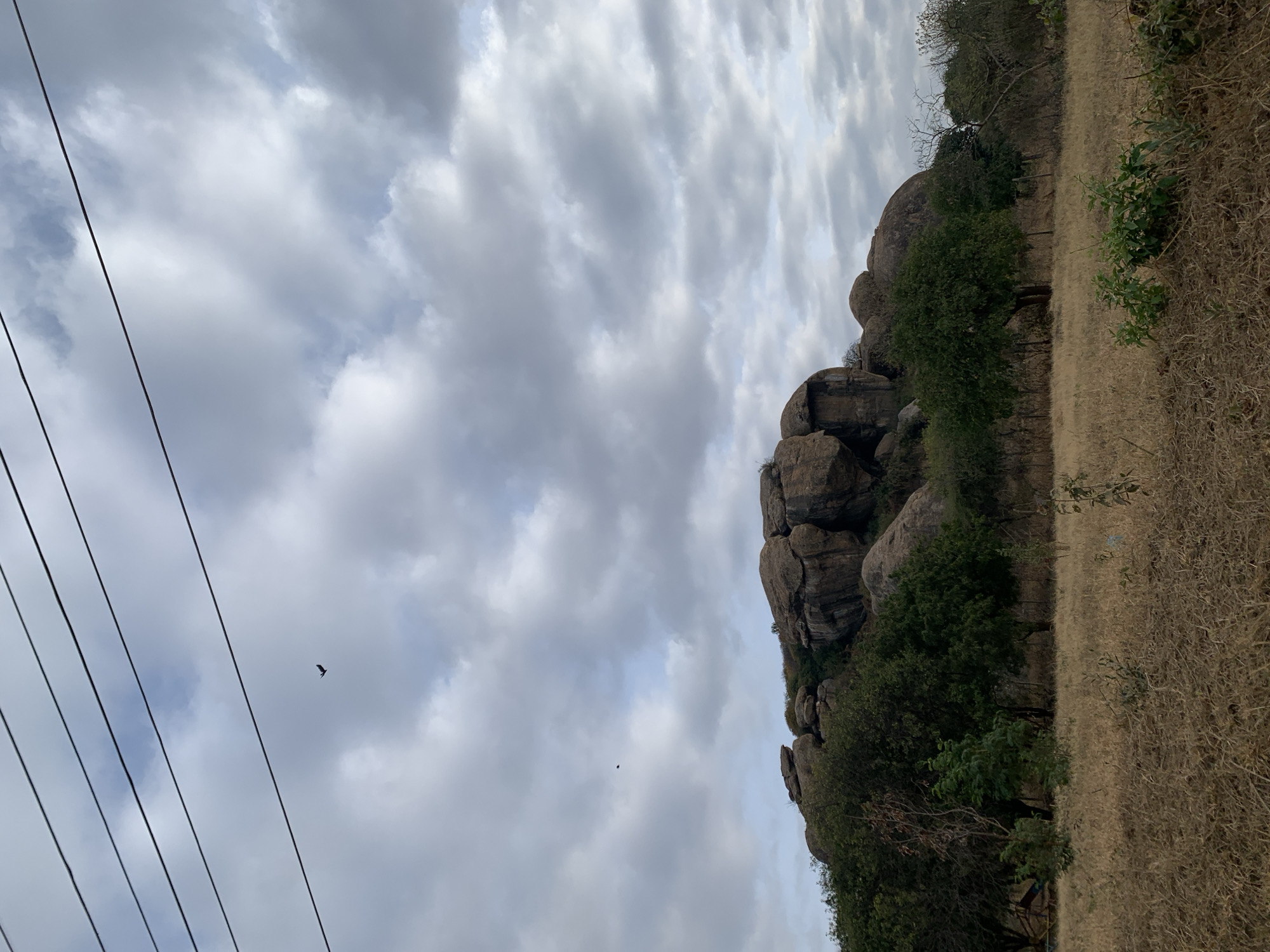 The image depicts a rocky outcrop covered in vegetation, with a dry, grassy field in the foreground. The sky is overcast with grey clouds. Several power lines stretch across the top of the frame. Two birds are visible in the sky, one closer to the foreground and another further away, smaller in the frame. The rocky formation appears to be a natural landscape feature, possibly a hill or cliff, with large boulders and uneven terrain. Trees and shrubs are scattered across the slopes of the outcrop and in the middle ground. The dry grass suggests a semi-arid environment. The overall scene is natural and undeveloped, hinting at a location on the outskirts or in a rural area. This scene is consistent with the geological features found in and around the city of Dodoma, Tanzania, known for its granite outcrops and relatively dry climate.