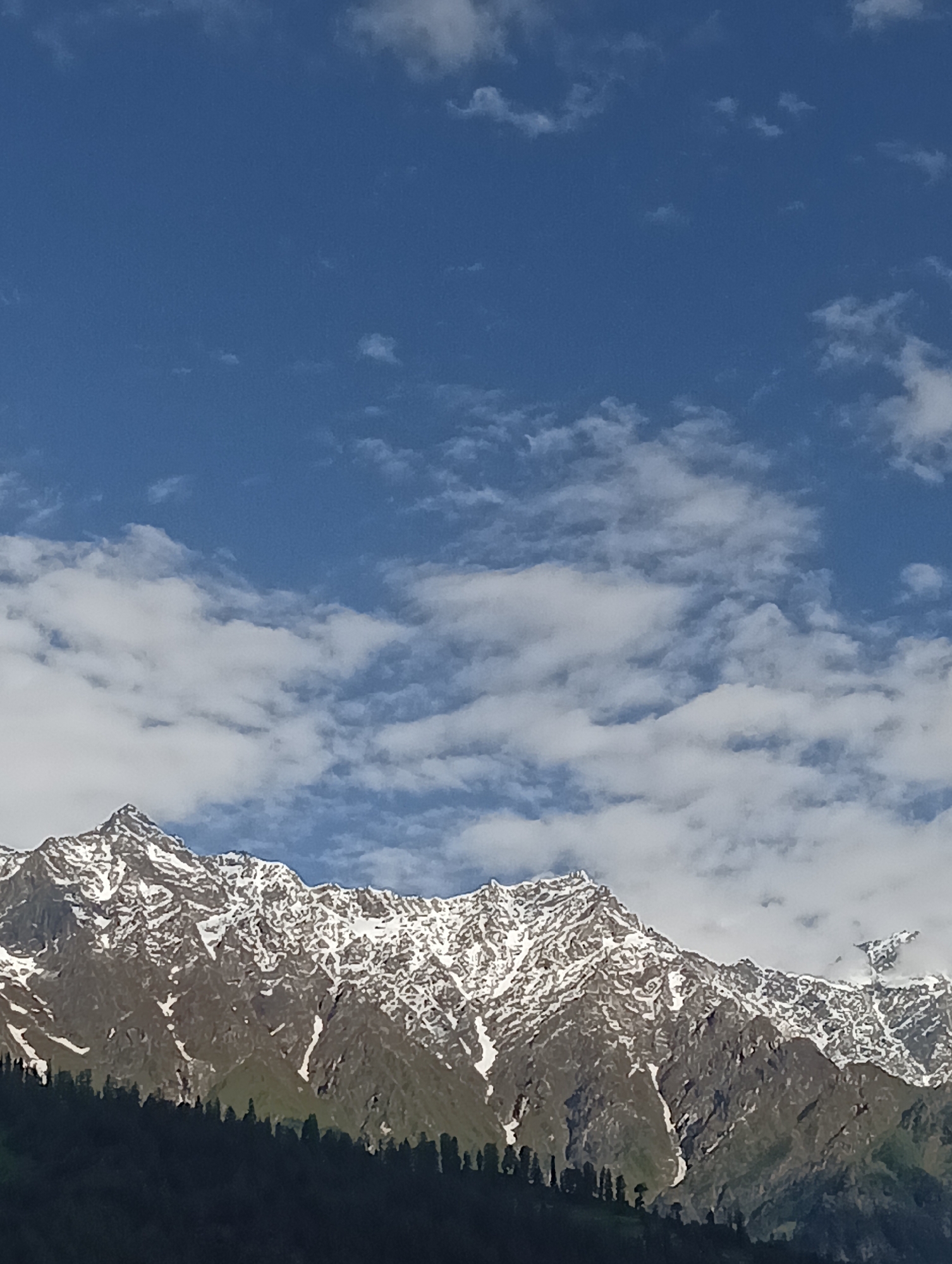 A vertical, eye-level, medium shot captures a wide mountain range, partially covered in snow, under a bright blue sky with scattered white clouds. The foreground is dominated by a dark silhouette of pine trees. The mountain peaks are rugged and jagged, with patches of snow clinging to their slopes and crevices. The sky is a vibrant blue, with fluffy white clouds drifting across the upper half of the frame. The image appears to be taken on a clear, sunny day, likely in the early morning or late afternoon given the lighting. The location is Vashisht, India, a town nestled in the Himalayas, known for its hot springs and proximity to the Beas River and the Parvati Valley.