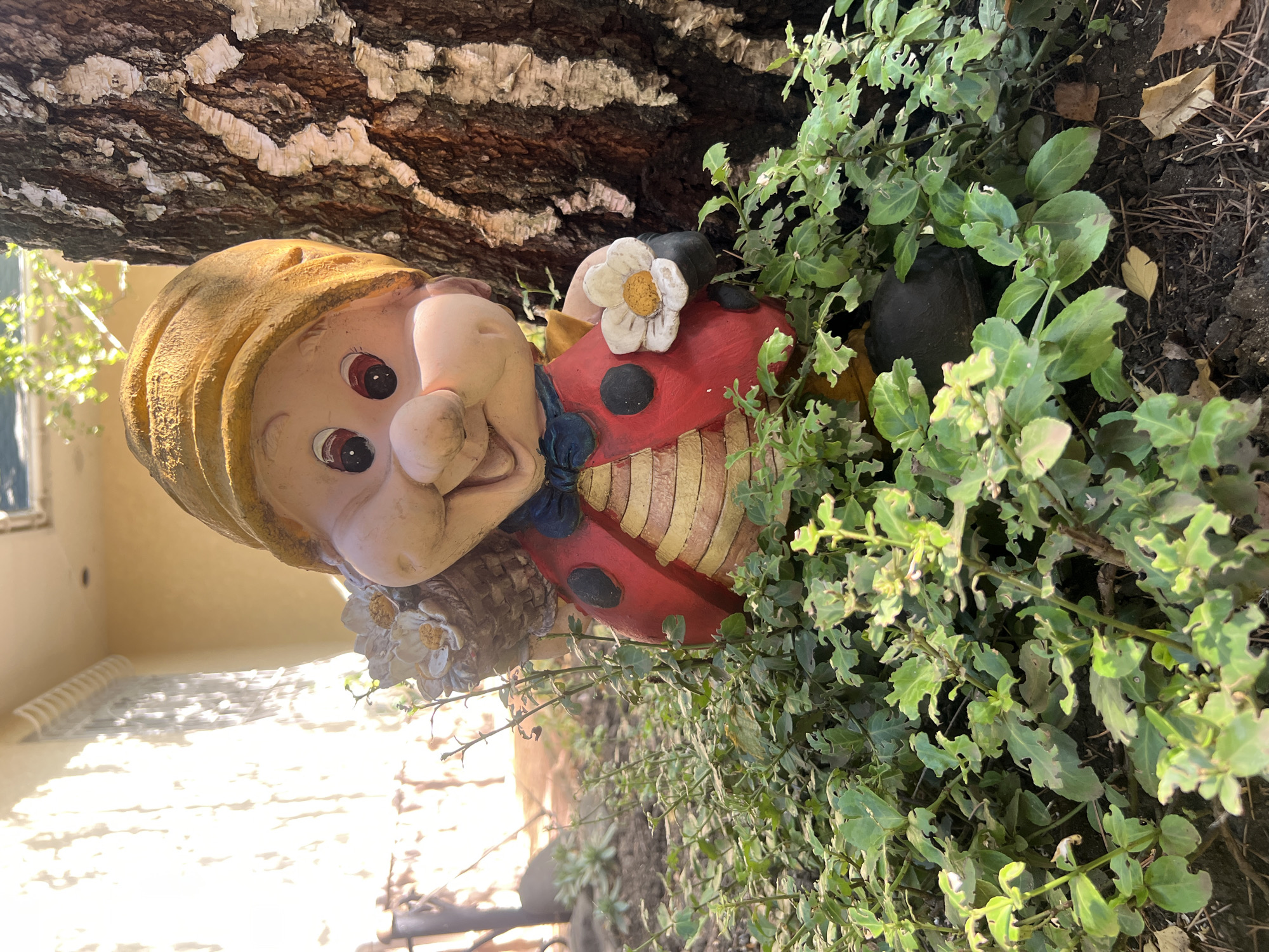 A garden gnome with a red ladybug-patterned body and a yellow hat is nestled amongst green foliage and next to a tree trunk. The gnome is holding a white flower in its right hand and has a basket of flowers on its back. The background shows a building with a light-colored wall and sunlight filtering through blinds. The setting appears to be an outdoor garden area, possibly in a residential or public space in Bender, Moldova.