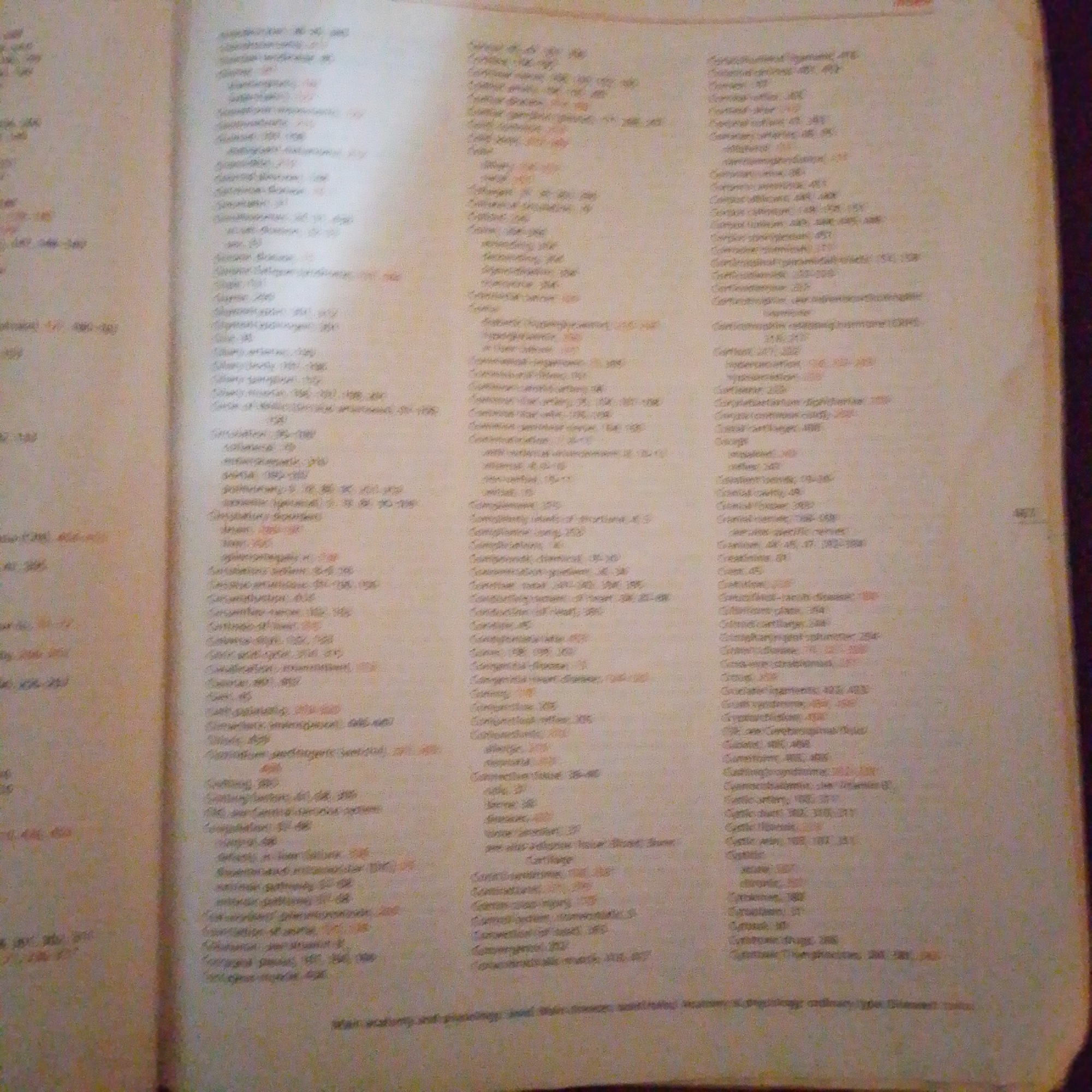The image shows an open book, likely an index or glossary, with two columns of text. The text is small and difficult to read due to the image quality and resolution. The book appears to be on a flat surface, possibly a table or desk, and the lighting suggests an indoor environment. The pages are cream-colored with black text. There are no people or other discernible objects present. The scene is entirely contained within the frame of the photograph, which is a close-up of the book's pages. There is no indication or information within the image that relates to Jalingo, Nigeria.