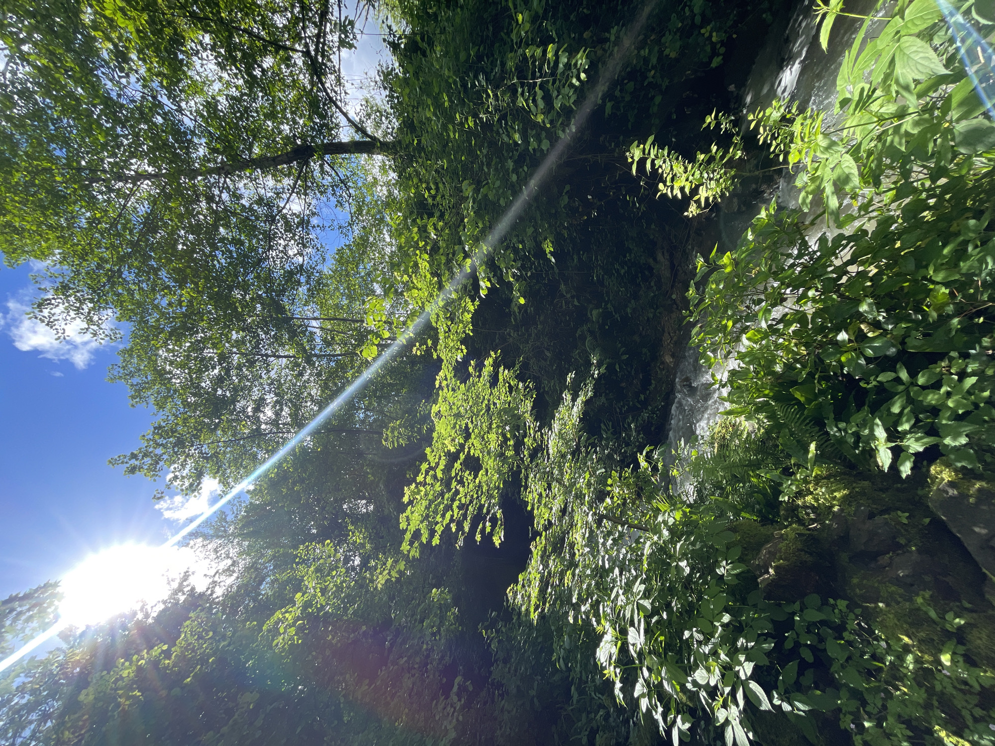 The image captures a scene in Solokh-Aul, Russia. A small waterfall trickles down a rocky cliff face covered in dense green foliage, including ferns and various leafy plants. Above the waterfall and extending to the left, the scene opens up to a view of trees against a backdrop of blue sky with scattered white clouds. Bright sunlight pierces through the foliage, creating a lens flare effect. The camera angle is tilted upwards.