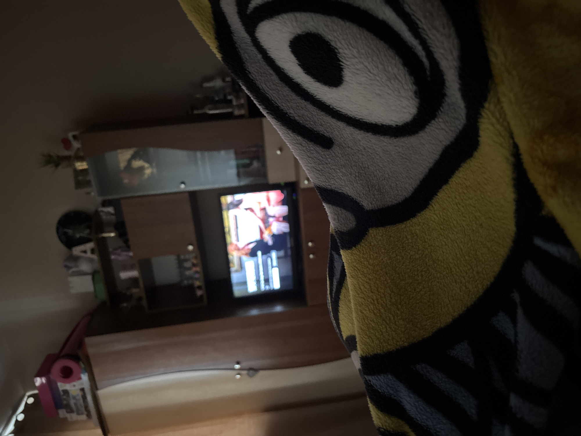 The image depicts an interior space with a television playing, partially obscured by a fuzzy blanket featuring a Minion design. The television is set within a dark-wooden entertainment unit or cabinet against a muted wall. The foreground is dominated by the blanket. To the left, in the background, are various objects on shelves and possibly a wall clock. The lighting is dim. The location and city are not discernable from this image.