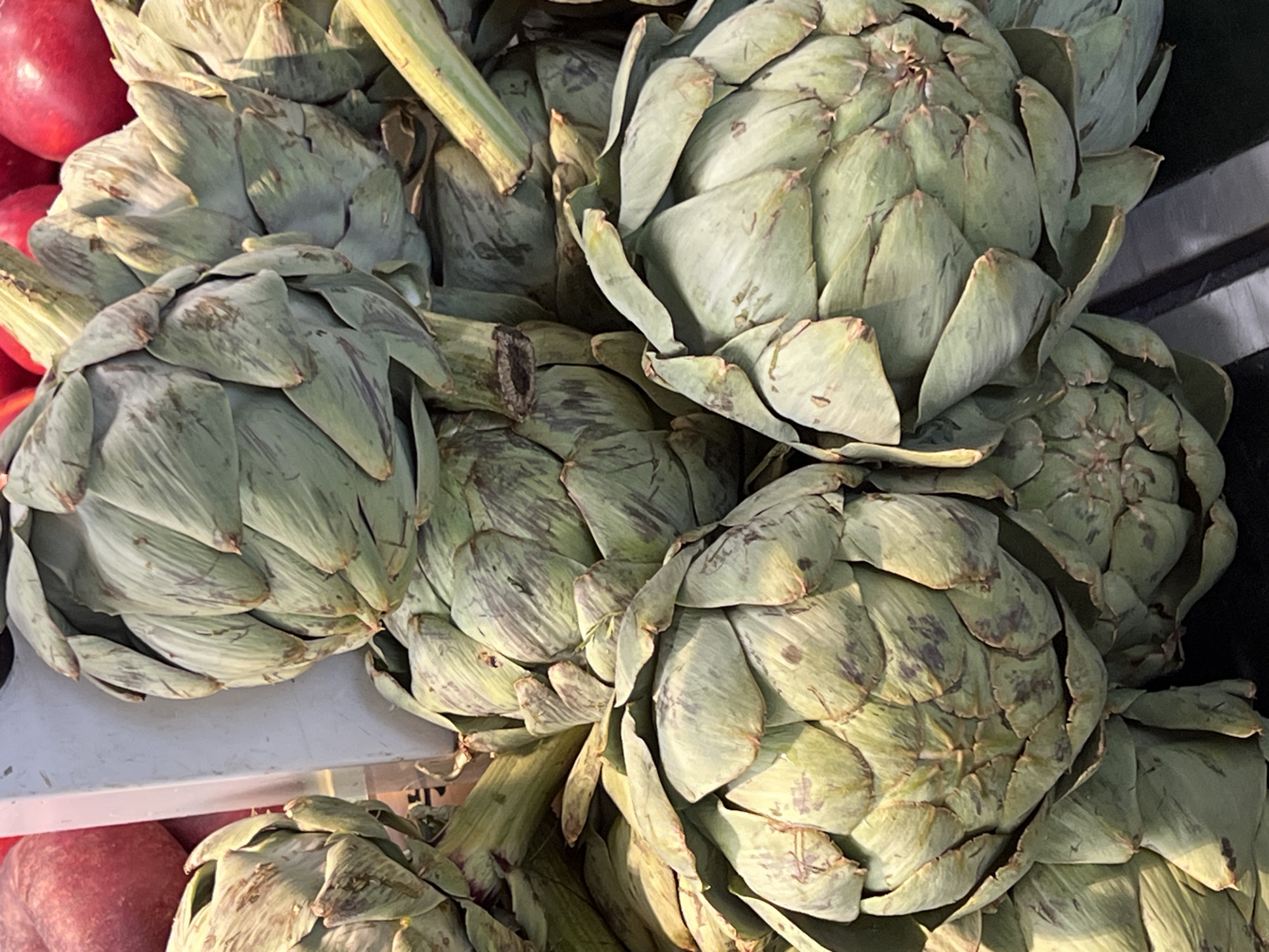 A close-up, eye-level shot shows a pile of fresh artichokes. The artichokes are a light green color with some purplish-brown markings. They are layered on top of each other, with some of their leafy outer layers visible. The stems of the artichokes are also visible, some appearing green and others cut and dried. In the background, to the left, a glimpse of two red apples can be seen. The overall lighting suggests an indoor setting, possibly a market or grocery store. No people or specific locations in Hamburg, Germany, are identifiable in this image.