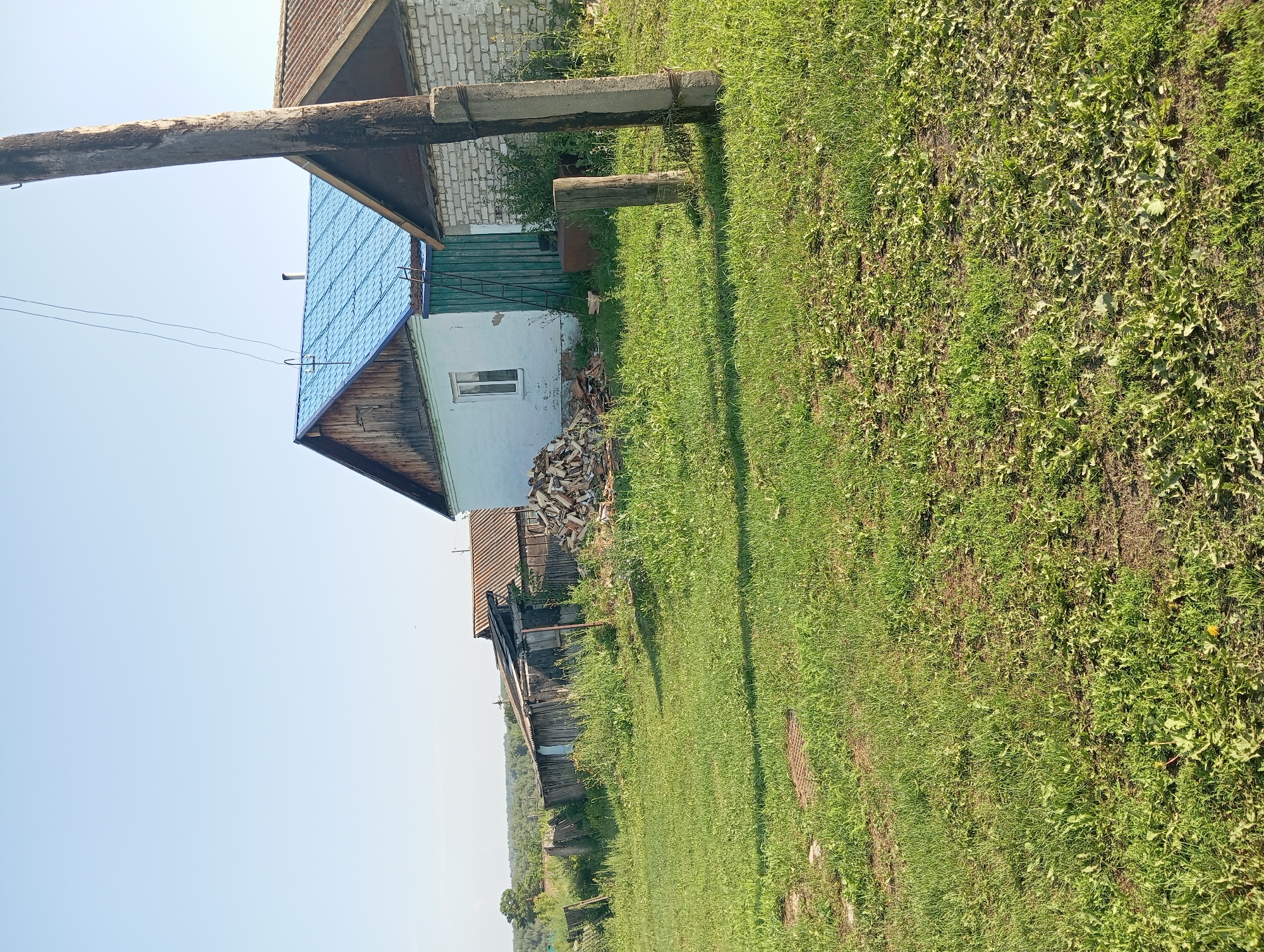 The image depicts a rural scene in Novo-Kopylovo, Russia, under a clear, pale blue sky on a sunny day. In the foreground, a lush green lawn is dotted with scattered weeds and patches of bare earth. A dirt path or track runs diagonally across the lower left portion of the frame.
Dominating the middle ground are several buildings. To the right, a light blue, one-story house with a wooden gable and a bright blue, metal roof stands beside another building constructed of white brick, also with a wooden gable and a corrugated metal roof. A green wooden door is visible on the side of the blue house, and a ladder leans against it. In front of the blue house, a neatly stacked pile of firewood is present. To the left of the blue house, a dilapidated wooden structure, possibly a shed or outbuilding, leans precariously and is partially obscured by overgrown vegetation. A weathered wooden fence runs along the property line, separating it from a distant tree line and rolling hills.
A thick, weathered wooden utility pole stands prominently on the right side of the image, with concrete bases and wires running overhead. Two smaller wooden posts are situated in the grass in front of the utility pole. The overall impression is one of a simple, rural dwelling, likely a private home, with signs of both upkeep and disrepair.