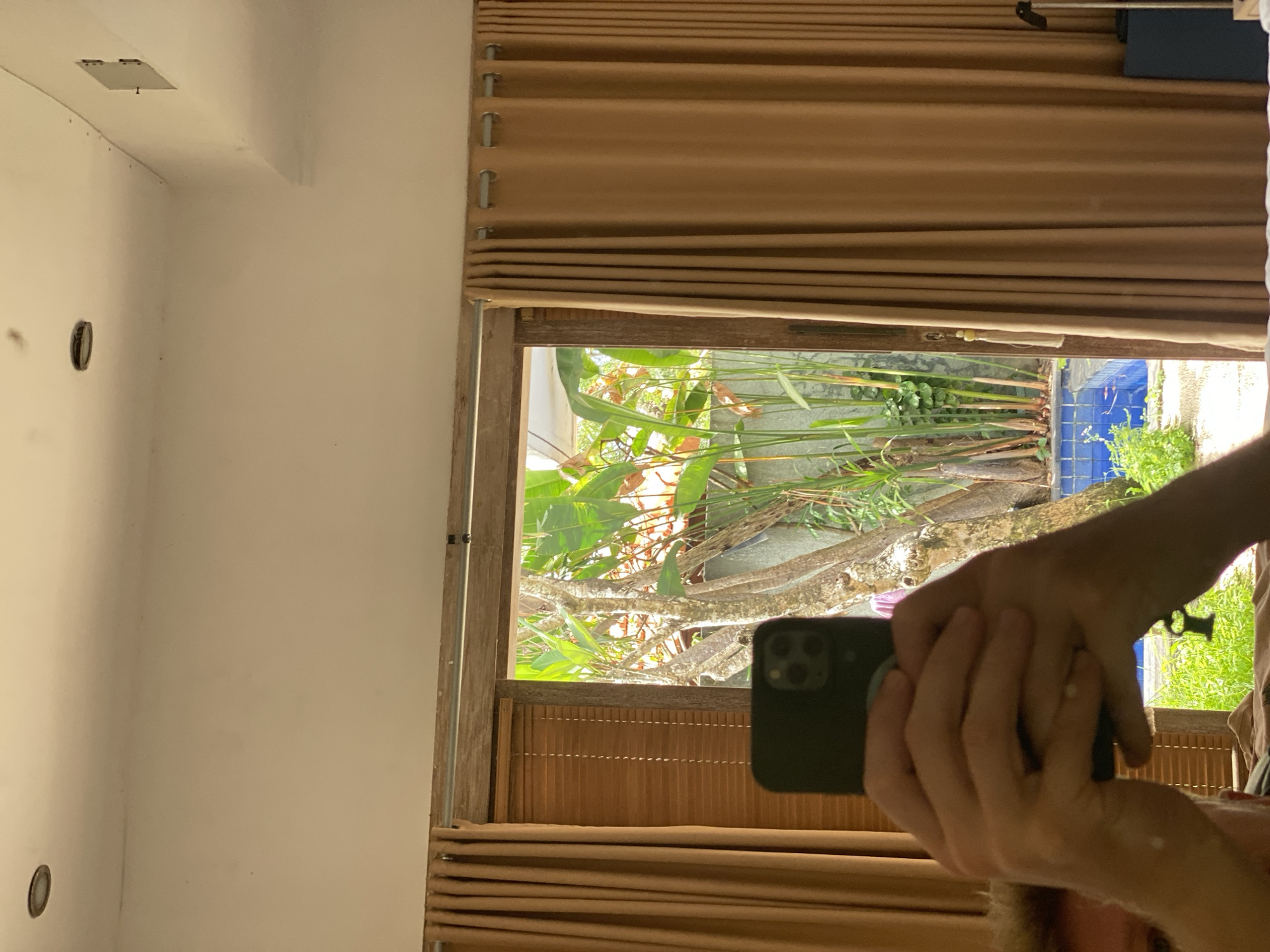 In Kuta Selatan, Indonesia, a person holds up a dark-colored smartphone, obscuring their face, in front of a large window. The phone is being held with both hands, and the camera is directed towards a mirror, capturing the reflection of the person and the scene behind them. Through the open window, a lush outdoor environment is visible, featuring tall green plants, trees with visible bark, and a glimpse of a blue tiled swimming pool in the background. The room has light-colored walls and ceiling, with a recessed light fixture visible in the upper left corner. Two large, tan-colored curtains frame the window on either side, and a set of wooden blinds is partially drawn behind the left curtain. The overall impression is a casual, indoor-outdoor living space, likely in a tropical setting.
