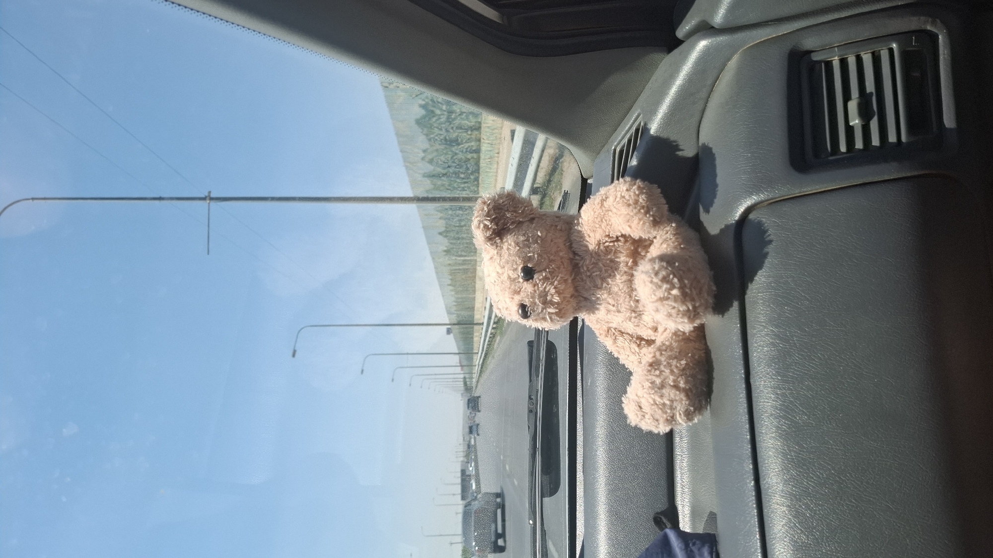 A light pink, plush teddy bear is seated on the dashboard of a vehicle, facing forward. The bear is positioned on the right side of the dashboard. The vehicle is on a highway, with multiple lanes of traffic visible in the distance. A concrete barrier with a mural of trees runs along the right side of the highway. Streetlights line the left side of the highway. The sky is clear and blue. The scene appears to be captured during daylight hours. The interior of the vehicle is visible, including a dark gray dashboard and a ventilation grate. The location is identified as the city of Shymkent, Kazakhstan.