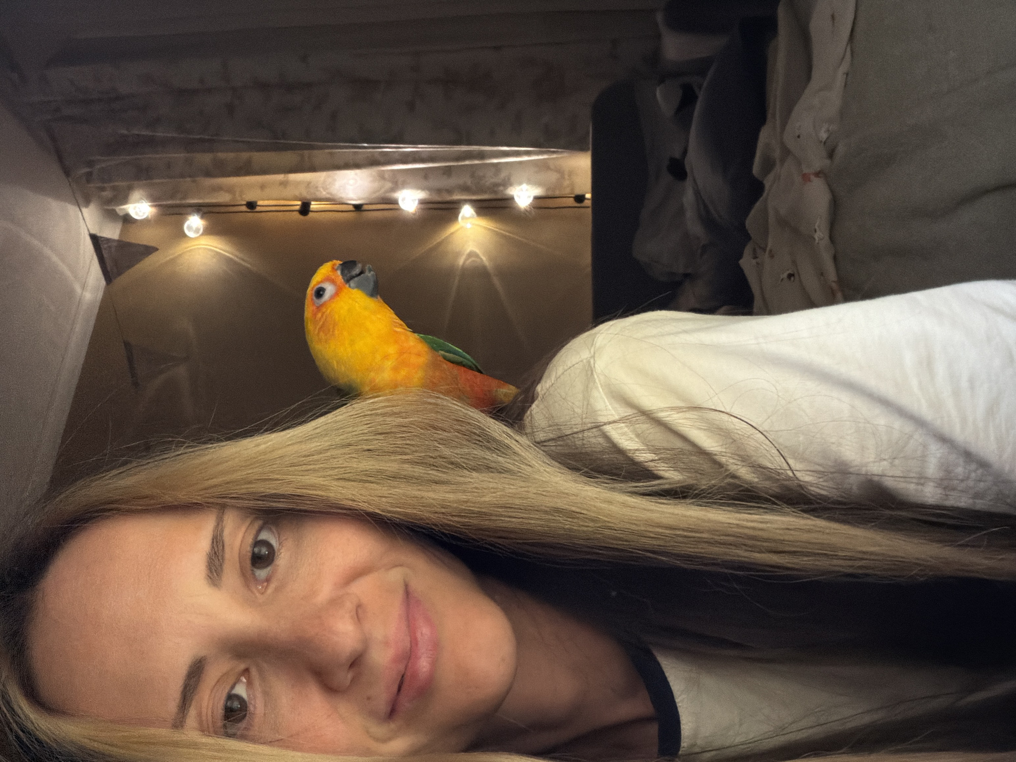 A woman lies with her head on a surface, facing the camera with a slight smile. Her long, blonde hair is spread around her face and over part of the surface. Perched on her is a Sun Conure parrot with yellow and orange plumage and a dark grey beak. Behind the woman and the parrot, there are string lights illuminating a dark space. In the background, there is an assortment of draped fabrics. The location is unspecified, and the claim that it's in Khimki, Russia cannot be confirmed from the visual information.