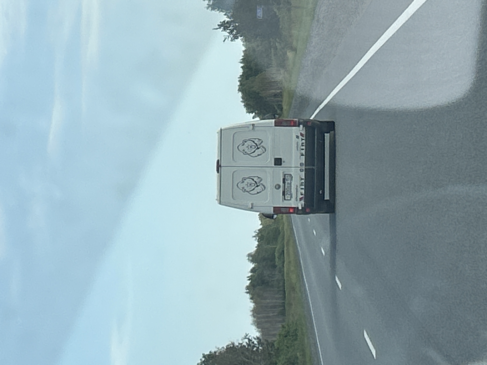 The media file displays the rear of a white van driving on a wet, asphalt road. The van has two circular logos on its rear doors, each depicting a cartoonish face, possibly a bear. There is also text visible on the rear door of the van, but it is partially obscured and difficult to read. The road has white lane markings. On the right side of the road, there are trees and foliage, suggesting a rural or highway setting. The sky is overcast and a light blue, indicating a cloudy or rainy day. The overall lighting suggests it is daytime. The scene appears to be captured from another vehicle. There are no people clearly visible in the media file. The location context provided is Iliushkino, Russia.