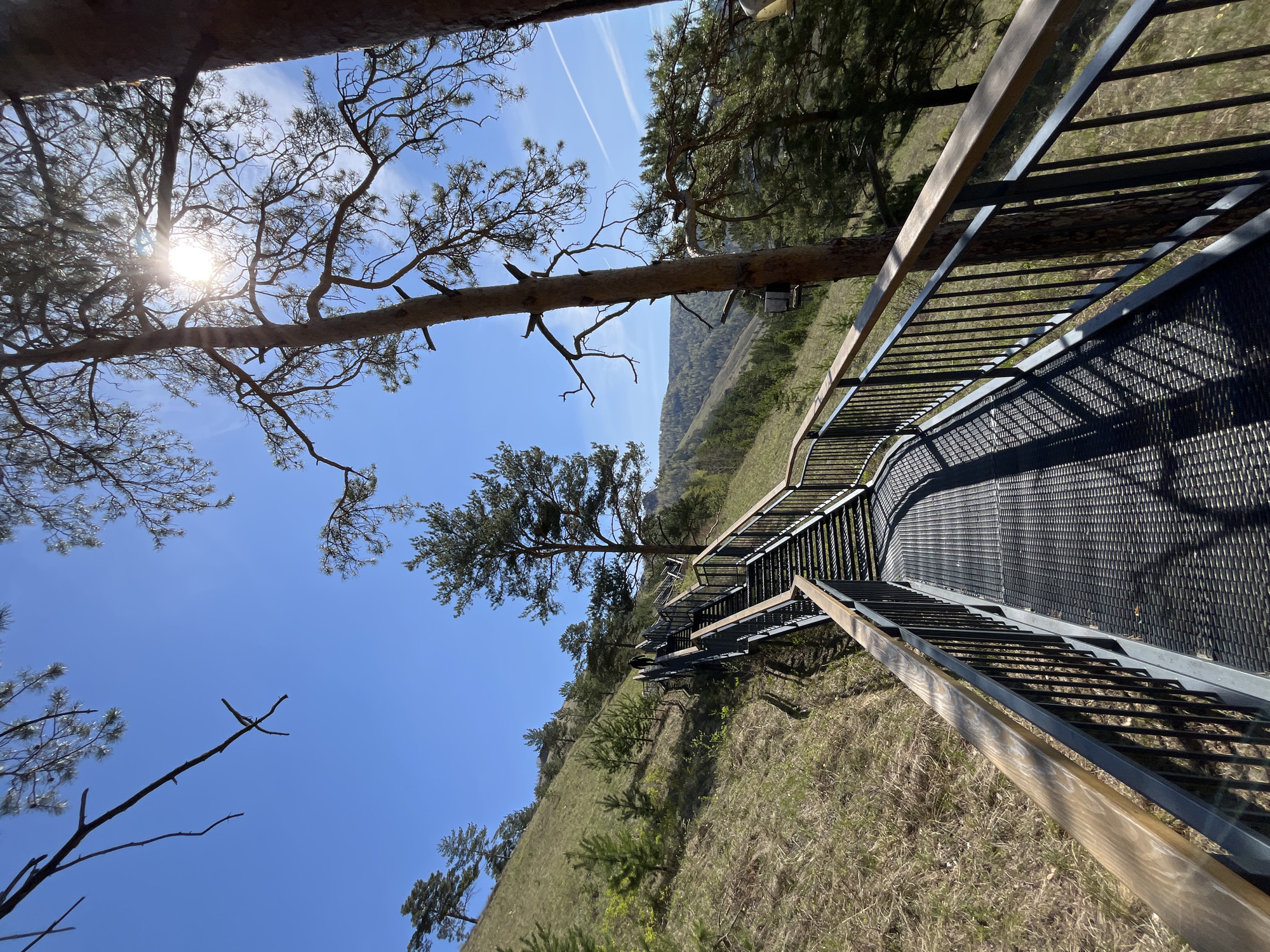 The image shows a section of the Torgashinsky Ridge staircase in Krasnoyarsk, Russia. The staircase has metal railings and a metal mesh walkway. It is situated on a grassy hillside with scattered pine trees. The sky is blue, with contrails visible. The sun is visible through the branches of a tree.