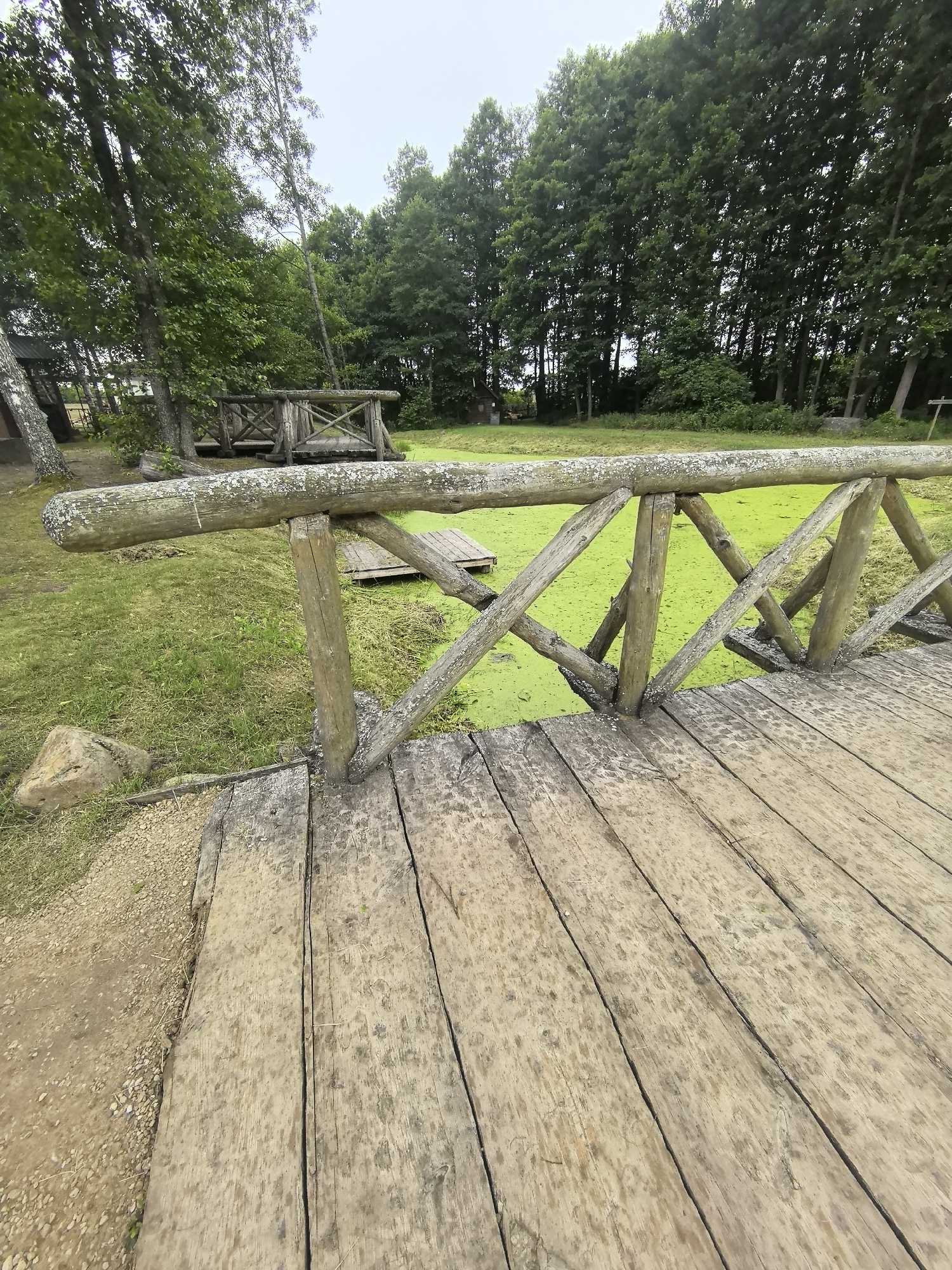 The image depicts a wooden footbridge spanning a body of water covered in bright green algae. The bridge is constructed from rough-hewn logs and planks, showing signs of age and weathering. The railing of the bridge is made from a thick, rounded log supported by angled wooden posts and crossbeams, with a rustic X-shaped pattern in between. The bridge deck is made of wide, weathered wooden planks laid parallel to each other. To the left of the bridge, there is a patch of green grass and a large, light-colored rock. In the background, a dense forest of tall, green trees forms a backdrop. The sky is overcast and the overall lighting suggests a daytime scene. The location is identified as Камянюцкі сельскі Савет, Belarus. There are no people or animals visible in the image.