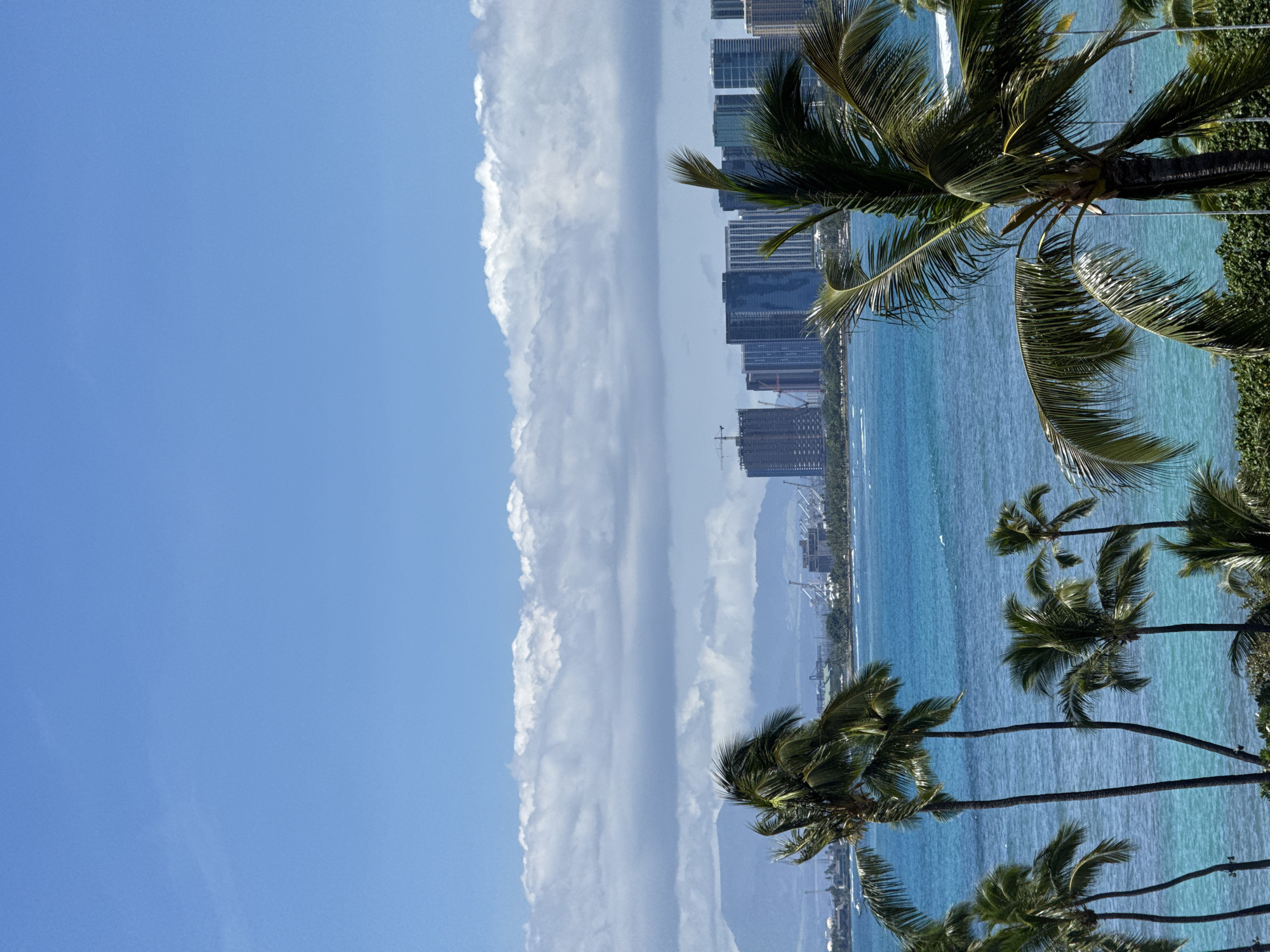 This image captures a scenic view of the Honolulu skyline from a coastal vantage point in East Honolulu, United States of America. The foreground is dominated by several lush palm trees, their fronds rustling gently in the breeze, framing the view of the ocean and city beyond. The ocean itself is a vibrant turquoise, with small waves lapping at the shore, suggesting calm conditions. In the mid-ground, a line of modern high-rise buildings forms the city's silhouette, interspersed with construction cranes indicating ongoing development. Further in the distance, hazy mountains rise, their forms softened by the atmospheric perspective. The sky above is a clear blue, punctuated by a band of soft, white clouds stretching horizontally across the frame. The overall impression is one of a sunny, tropical day in a bustling coastal city.