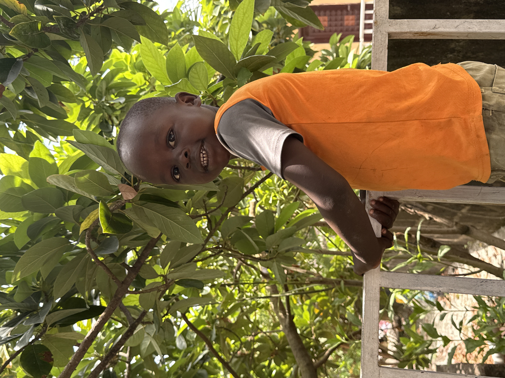 A young boy with dark skin is leaning over a white metal gate. He is wearing an orange and gray t-shirt, and his lower body is out of view. He is smiling and looking at the camera. The background includes lush green leaves and branches, indicating a natural setting. The scene appears to be outdoors, in daylight. Based on the request of Ado, Nigeria as a location, the setting is likely a residential area, possibly with a garden or trees nearby.