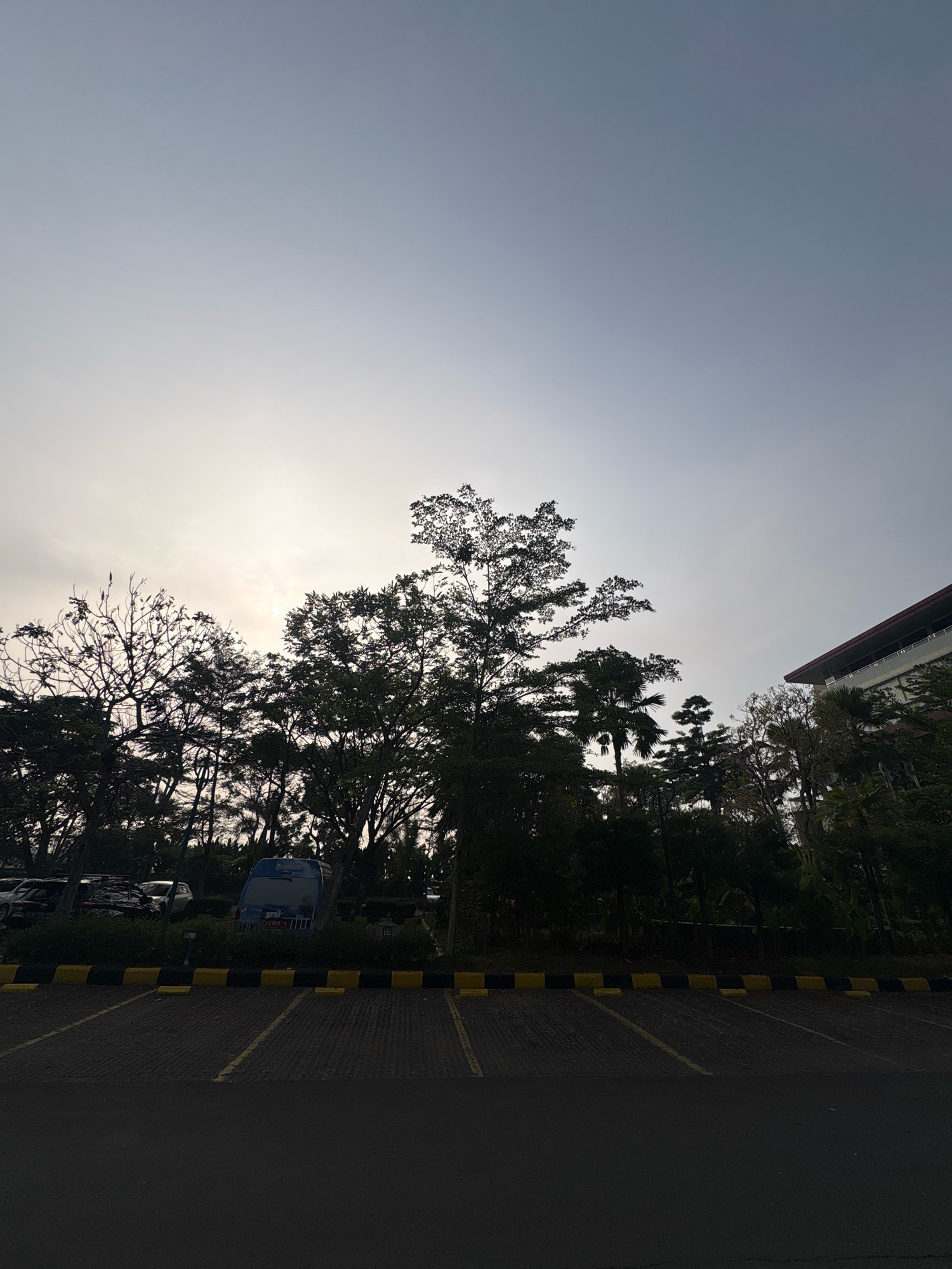 The image depicts an outdoor scene of a parking lot at what appears to be a commercial or institutional facility in Pamekaran, Indonesia. The foreground is an asphalt-paved parking lot with visible yellow and black striped curbs marking parking spaces. Beyond the curbs, a row of green bushes separates the parking lot from a grassy area with several vehicles parked, including a blue van. Dominating the mid-ground and background is a dense line of trees, silhouetted against a bright, hazy sky, suggesting either sunrise or sunset. The tree canopy is varied, with some trees appearing bare and others lush with foliage, including palm-like trees. On the far right of the image, a portion of a building with a red roof and white facade is visible, suggesting the presence of infrastructure. The overall atmosphere is serene, with the natural elements of trees and sky contrasting with the man-made elements of the parking lot and building. No people are visible in the frame.