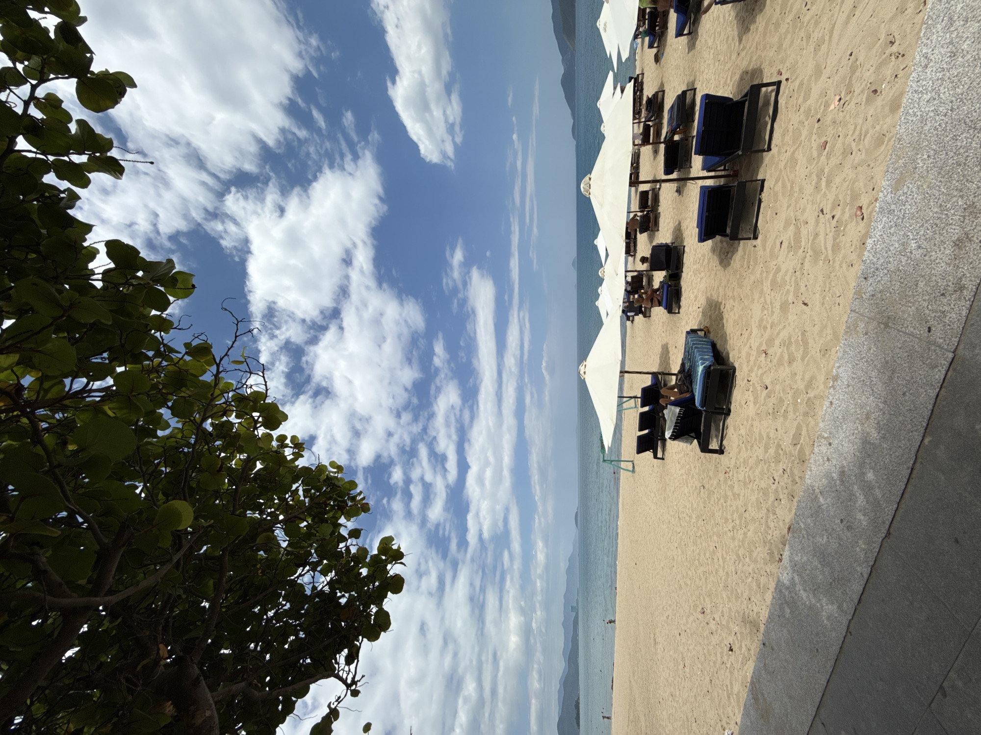 The image depicts a serene beach scene in Nha Trang, Vietnam, under a partly cloudy sky. The foreground is dominated by a sandy beach with numerous rows of unoccupied lounge chairs and large white umbrellas, suggesting a resort or hotel setting. A paved walkway runs along the bottom edge of the image, casting a shadow on the sand. Several individuals are visible lounging on chairs, some reading or relaxing under the shade. In the middle ground, the calm, blue ocean stretches towards a distant coastline with rolling hills and mountains. A few people are visible walking along the water's edge in the distance. The upper portion of the image is framed by the lush green leaves and branches of a large tree, adding a natural element to the scene. The overall atmosphere is one of relaxation and tranquility.