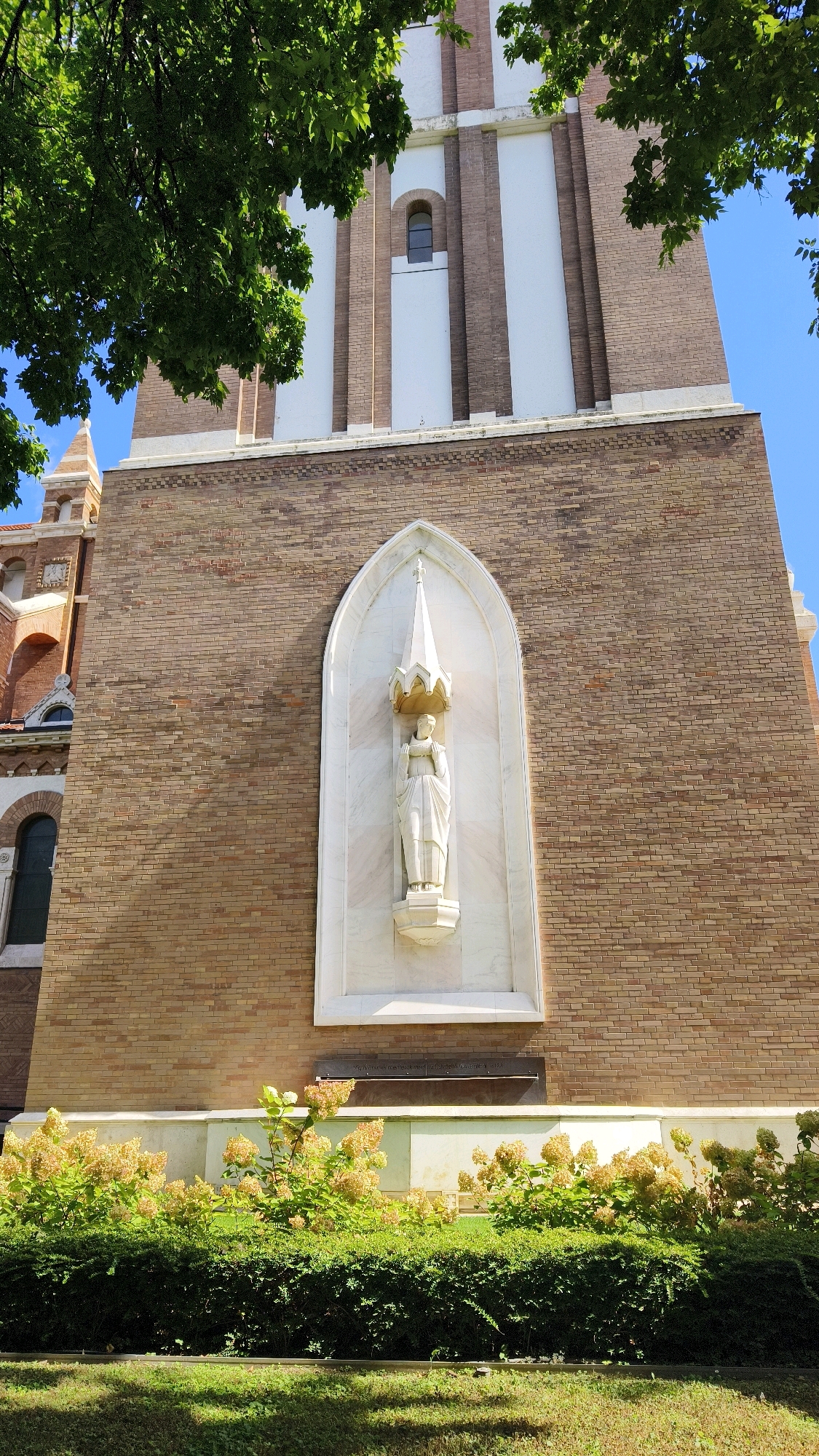 The image shows a low-angle exterior shot of the Calvinist Church in Szeged, Hungary. The church features a tall, brick tower with white vertical accents and a small arched window. A white marble statue of a robed figure, possibly a saint, is set within an arched niche on the brick facade. Below the niche, a band of flowering bushes with light yellow blossoms is visible, in front of a trimmed green hedge. A patch of green grass is in the foreground. The sky is clear and blue. The image is dominated by the architecture of the church and the greenery in front of it.