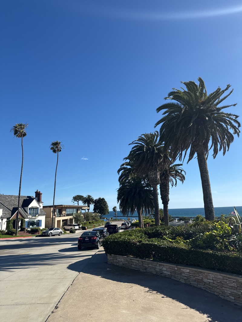 The image shows a street scene in Newport Beach, United States, on a sunny day. The sky is clear blue. A row of palm trees lines the right side of the street, partially obscuring a view of the ocean. A trimmed hedge and a low stone wall border the edge of the road. Cars are parked along the street, and other vehicles are visible further down the road. On the left side of the street, there are residential buildings. The overall impression is a tranquil, upscale coastal neighborhood.
