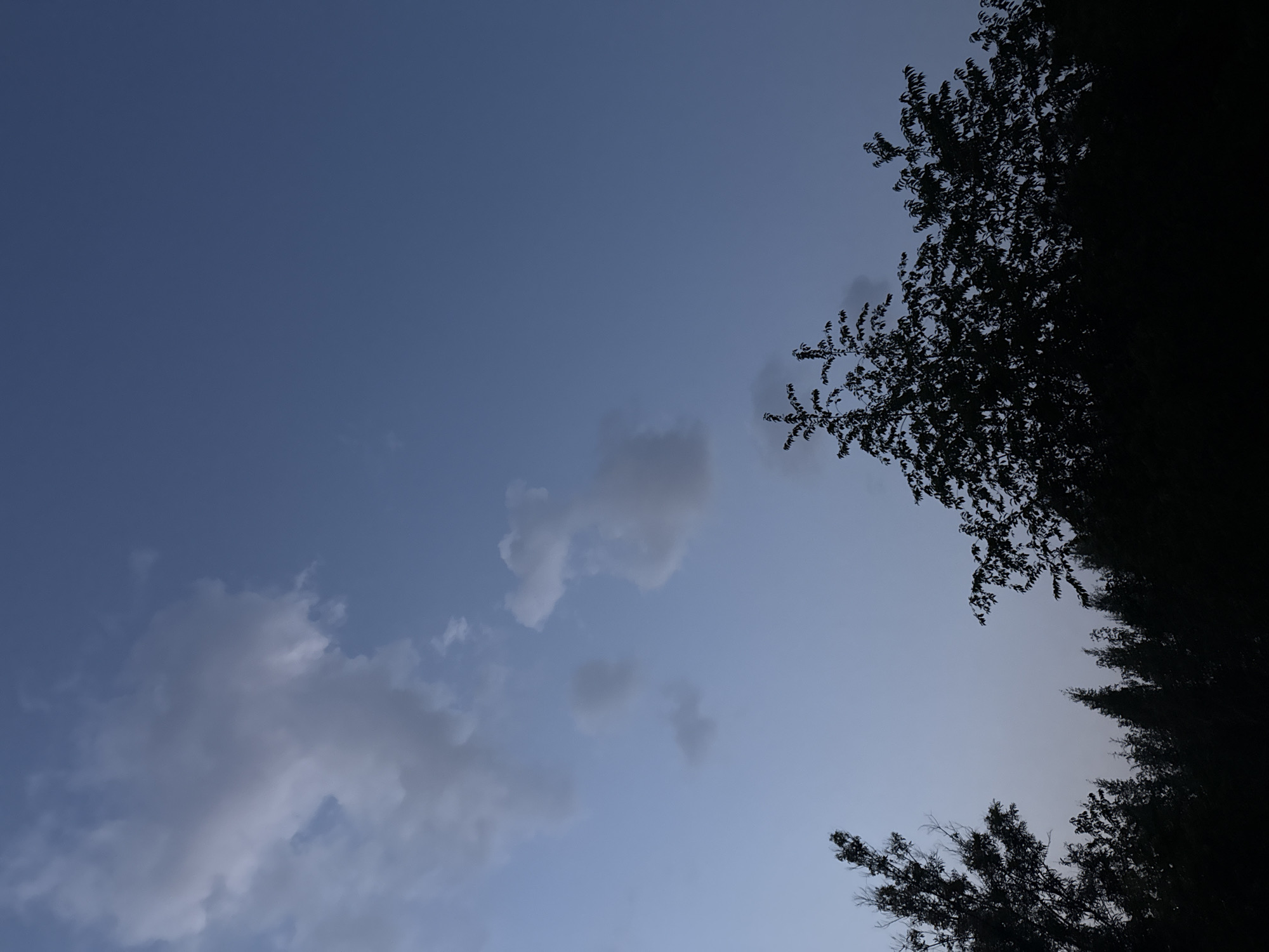 In the city of Unknown, Unknown, a photograph captures a twilight sky with scattered clouds. Silhouetted trees form a dark band across the lower portion of the image. The sky is a gradient of deep blue at the top, fading to a lighter, almost hazy blue towards the horizon. Several wispy clouds are visible in the upper left and center of the frame. The trees are dense, with intricate branches and foliage that obscure any details of the ground or any potential human presence. The overall impression is one of a quiet, serene evening.
