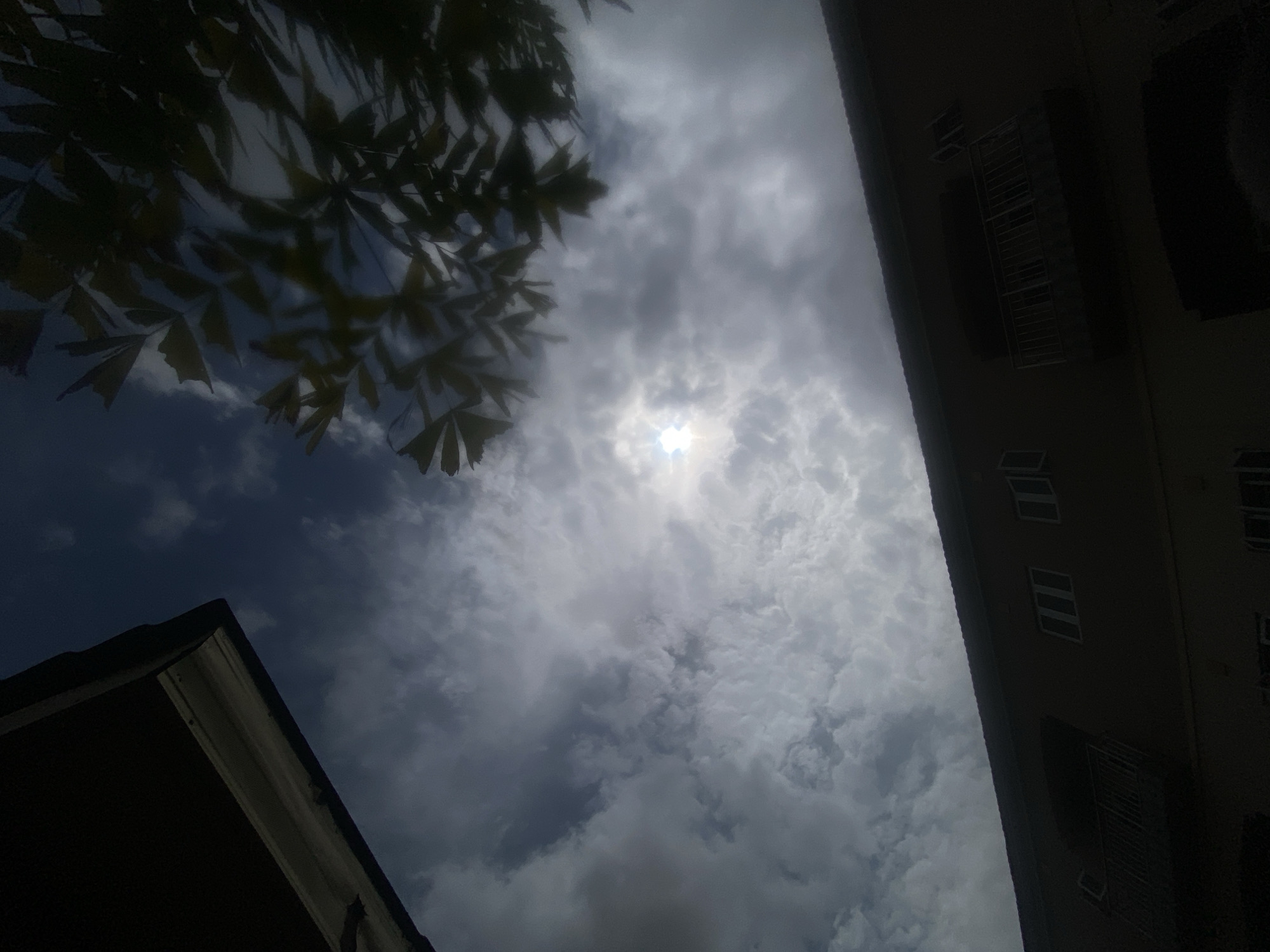 The image presents an upward-looking view of a daytime sky, heavily influenced by strong backlighting. The composition is tilted, giving a dynamic feel to the scene.
The sky is a prominent feature, filled with a mix of bright white and grey clouds, indicating a partly cloudy or overcast day. The sun is visible as a bright, central point of light, piercing through a break in the cloud cover and creating a radiant glare. Patches of darker blue sky are also visible between the clouds.
In the upper left portion of the frame, the dark, silhouetted foliage of a tree is prominent. The large, segmented leaves are out of focus, suggesting they are close to the camera, adding depth and a natural element to the foreground.
On the right side of the image, a portion of a tall, multi-story building is visible. Its facade is cast in deep shadow due to the backlighting, appearing as a dark silhouette against the bright sky. Several rectangular windows, some appearing to have security bars or grates, are faintly discernible on its dark surface.
Another architectural element, possibly the roofline and upper section of a building, is seen in the bottom left corner. This structure is also heavily shadowed, forming a dark, angular shape that frames the lower sky.
The strong contrast between the bright sky and the dark, silhouetted foreground elements creates a dramatic effect. The time of day appears to be around late morning or early afternoon, given the high position of the sun. No people are visible in the image, and there is no discernible text. The scene is set outdoors in Barden Yana, Nigeria.