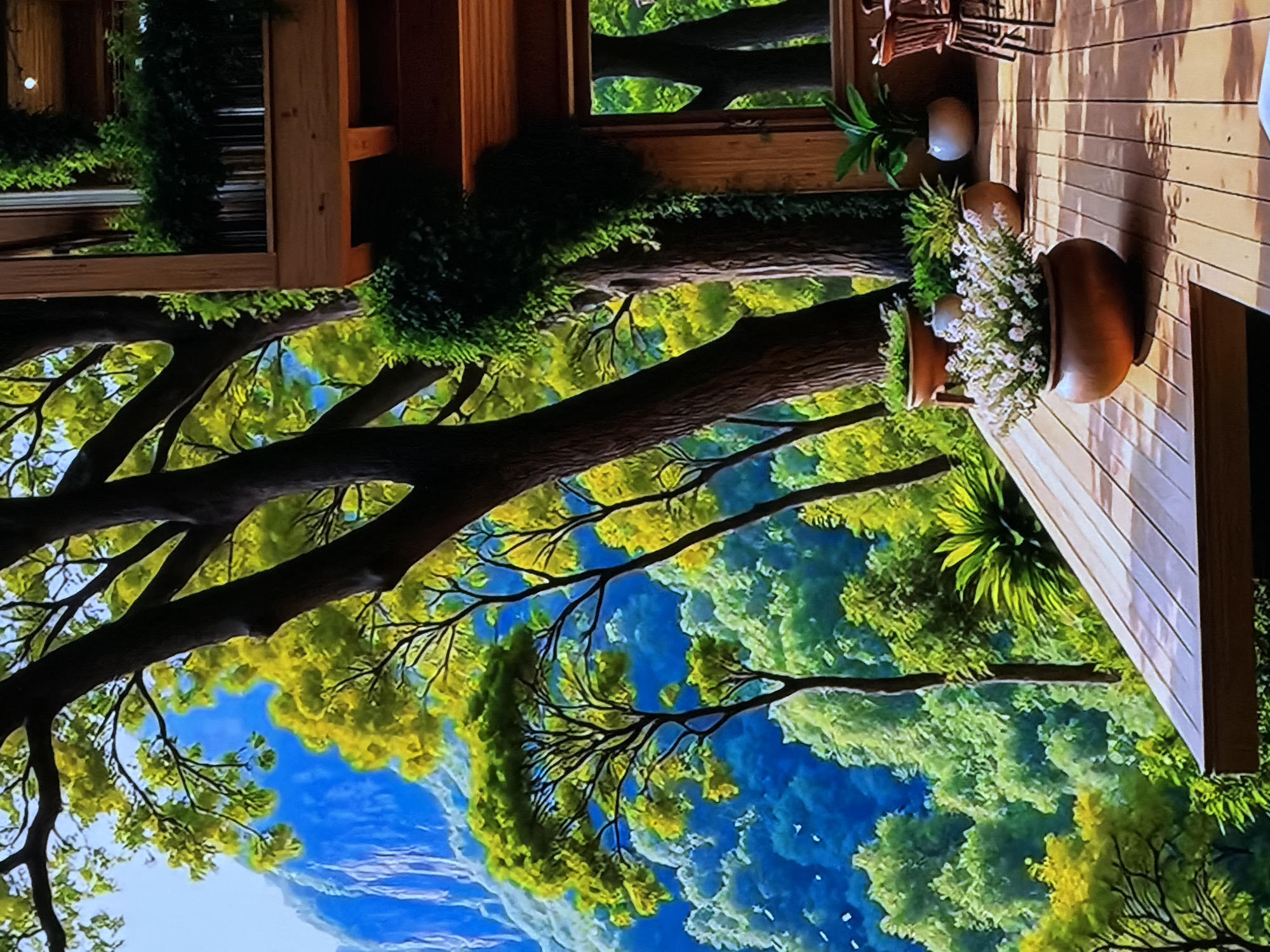 The image depicts a vibrant and lush natural landscape, viewed from a wooden deck or balcony. When correctly oriented, the rustic wooden deck is situated on the right side of the frame, adorned with several potted plants. A large, dark brown pot prominently displays an abundance of small white flowers, possibly heather or baby's breath. Next to it, a smaller, terracotta-colored pot holds dense green foliage. Further back on the deck, another green potted plant and a decorative wooden or wicker object are visible.
The central and left portions of the image are dominated by large tree trunks and branches, forming an immediate canopy of rich green and yellowish-green foliage. Beyond this, a vast expanse of dense forest stretches into the background, showcasing varying shades of green and hints of blue, suggesting deep valleys or distant hills. A bright blue sky with subtle white cloud formations is visible in the upper background, peeking through the tree branches.
The scene portrays a serene, elevated view over a vibrant natural environment, consistent with a treehouse or a balcony overlooking a dense woodland or mountainous region. The time of day is clearly daytime, with bright and clear lighting illuminating the scene. No people are visible, and there is no discernible text within the image. The overall impression is one of peaceful immersion in nature.