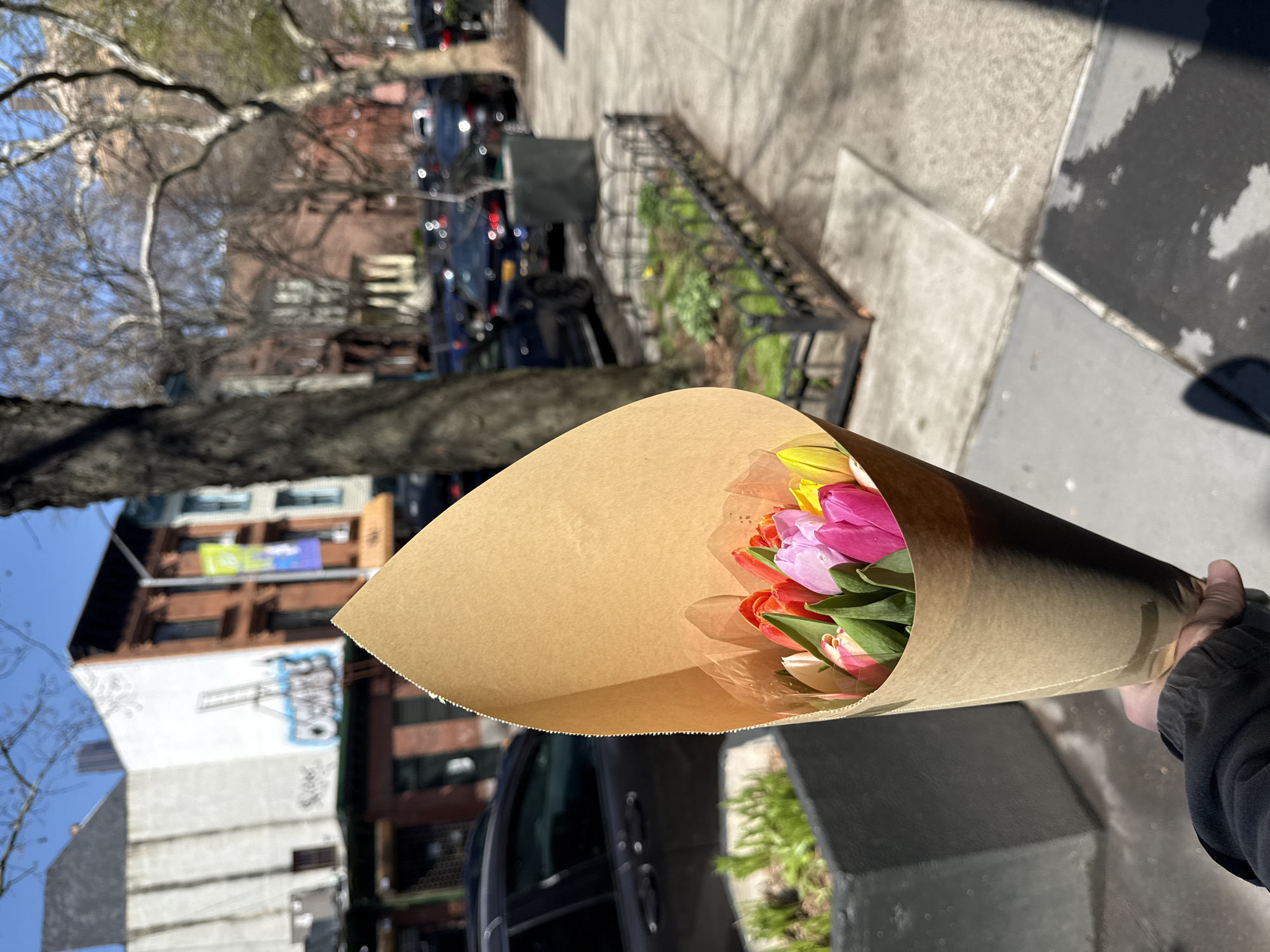 The image captures a street scene, likely in a residential area, with a bouquet of colorful tulips as the central focus. The tulips, wrapped in brown paper, are held by a person whose arm is visible in the lower right of the frame. The setting appears to be a street, indicated by the sidewalk and the presence of parked cars. The architecture in the background suggests a building with possible graffiti on its side. A tree is also visible, adding to the urban landscape. The overall impression is that of a sunny day with a sense of urban life. There is no specific evidence in the photograph to pinpoint the location within New York City.