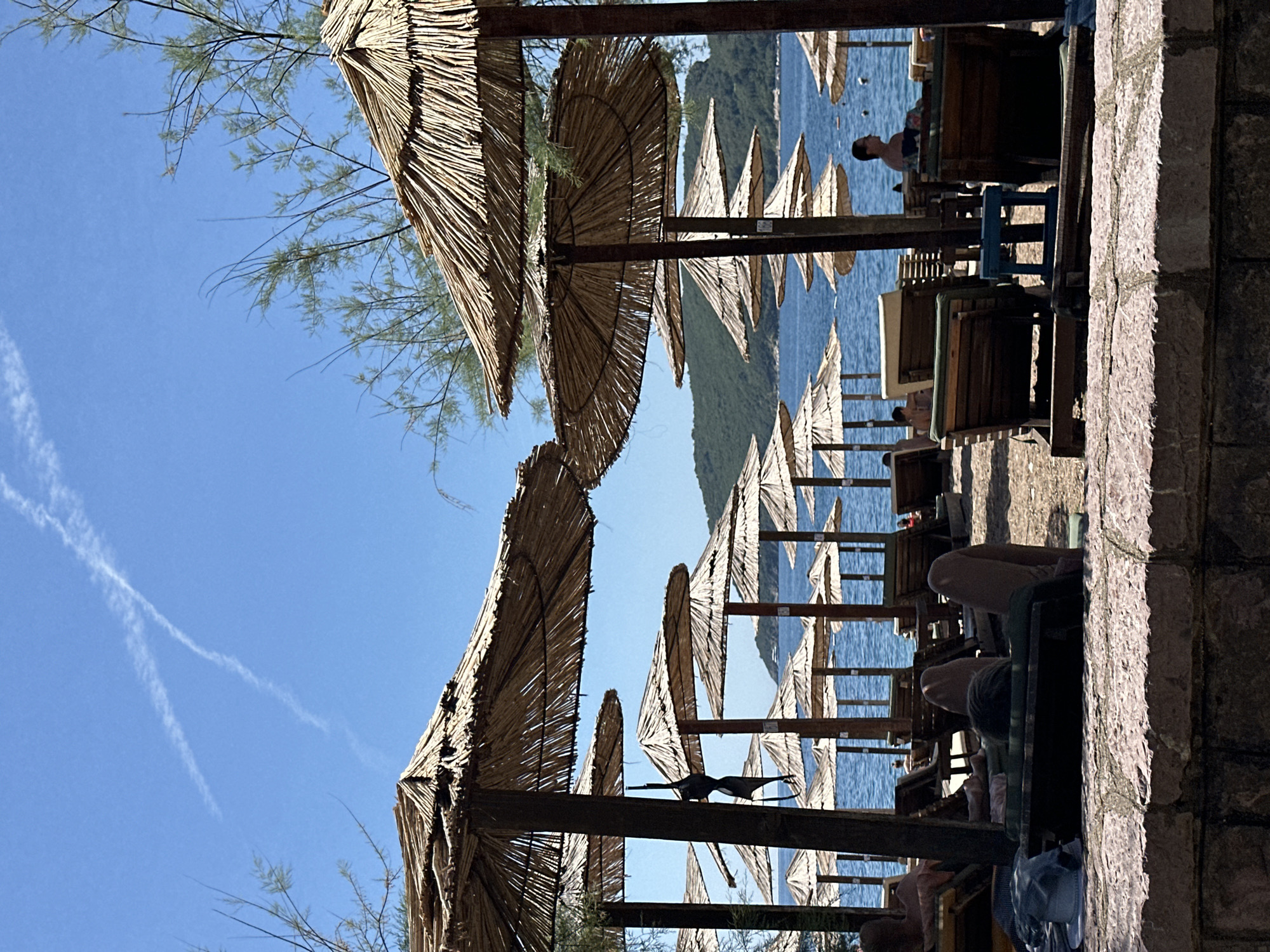 This image depicts a scene on a beach in Budva, Montenegro, with a focus on rows of thatched umbrellas providing shade over lounge chairs. The sea is visible in the background, with a distant hilly coastline under a clear blue sky featuring a faint contrail. Several people are visible relaxing on the beach, some reclining on lounge chairs under the umbrellas, while others are in the water. A black bikini top hangs from the pole of one of the umbrellas. The foreground shows a stone wall. The overall atmosphere is one of a sunny day at a beach resort.
