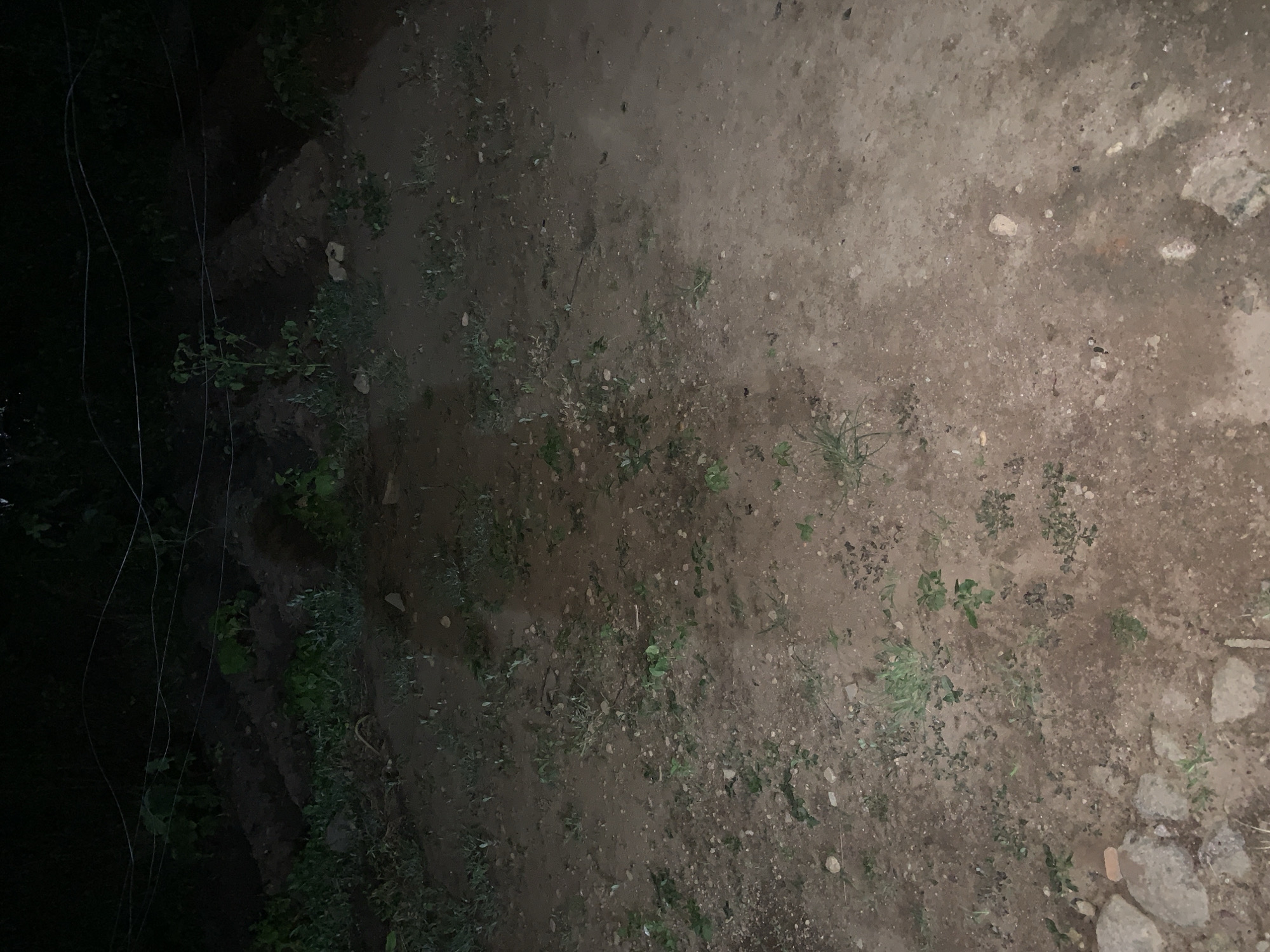 The image depicts an outdoor scene at night, likely in Kuru Karama, Nigeria. The ground is primarily composed of dry, dusty soil with scattered small rocks and sparse, low-lying green vegetation. In the background, several raised, dark soil beds are visible, suggesting a garden or agricultural area. A thin wire runs horizontally across the upper portion of the image, possibly part of a fence or a utility line, with some leafy vegetation behind it. The lighting is dim, creating shadows and obscuring fine details of the terrain. There are no people or discernible objects of interest present in the frame.
